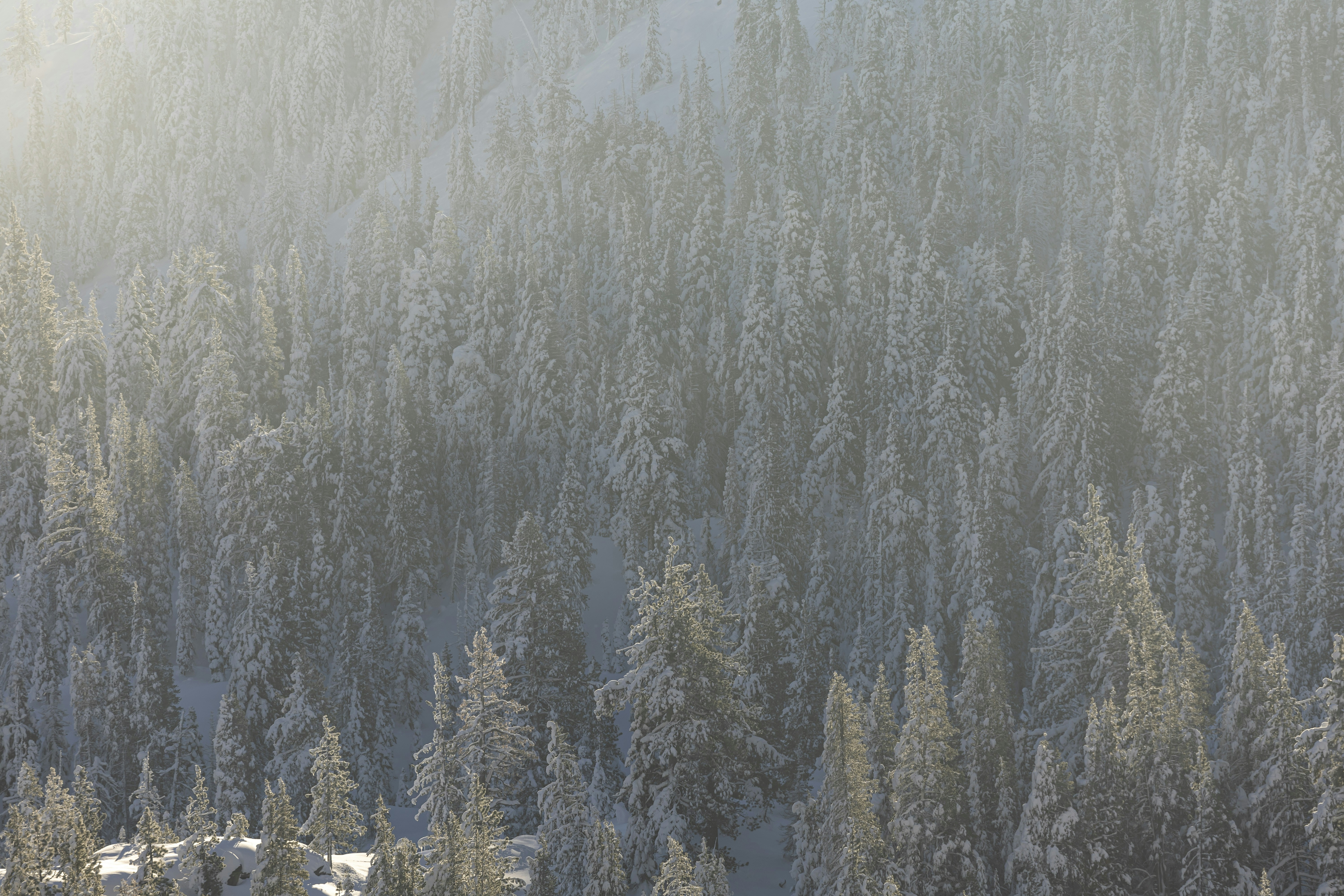 Photo by leo_visions_