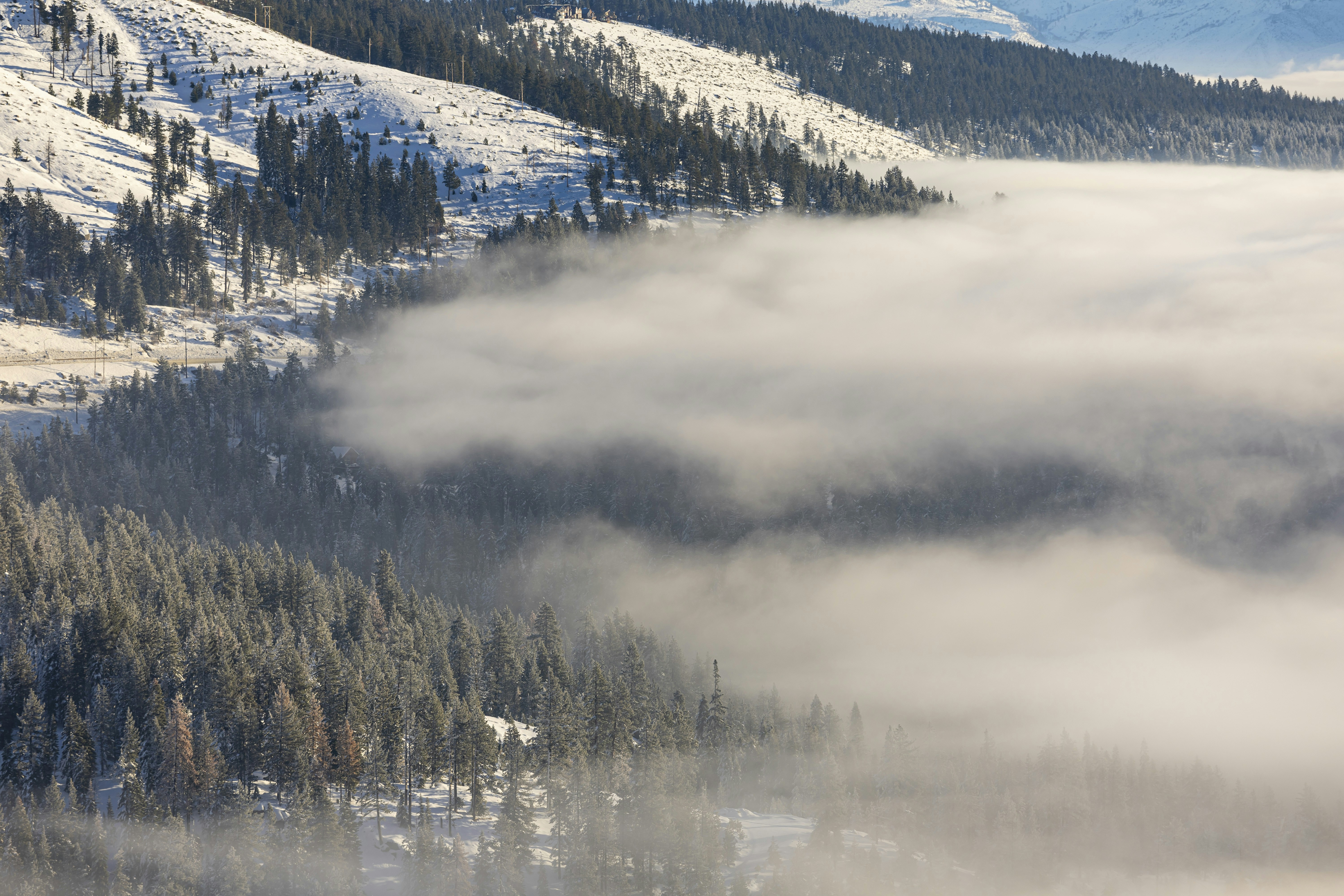 Photo by leo_visions_