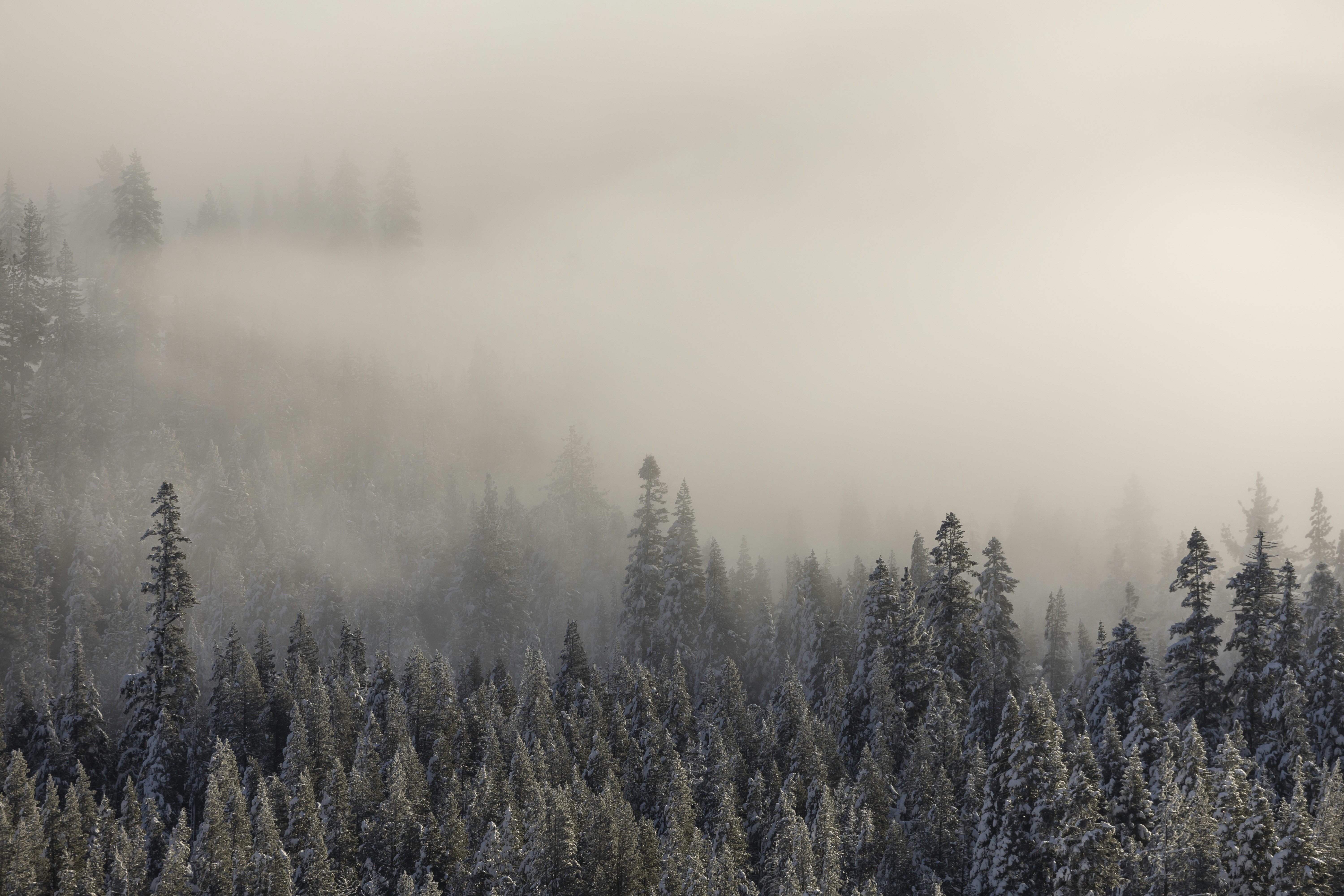 Photo by leo_visions_