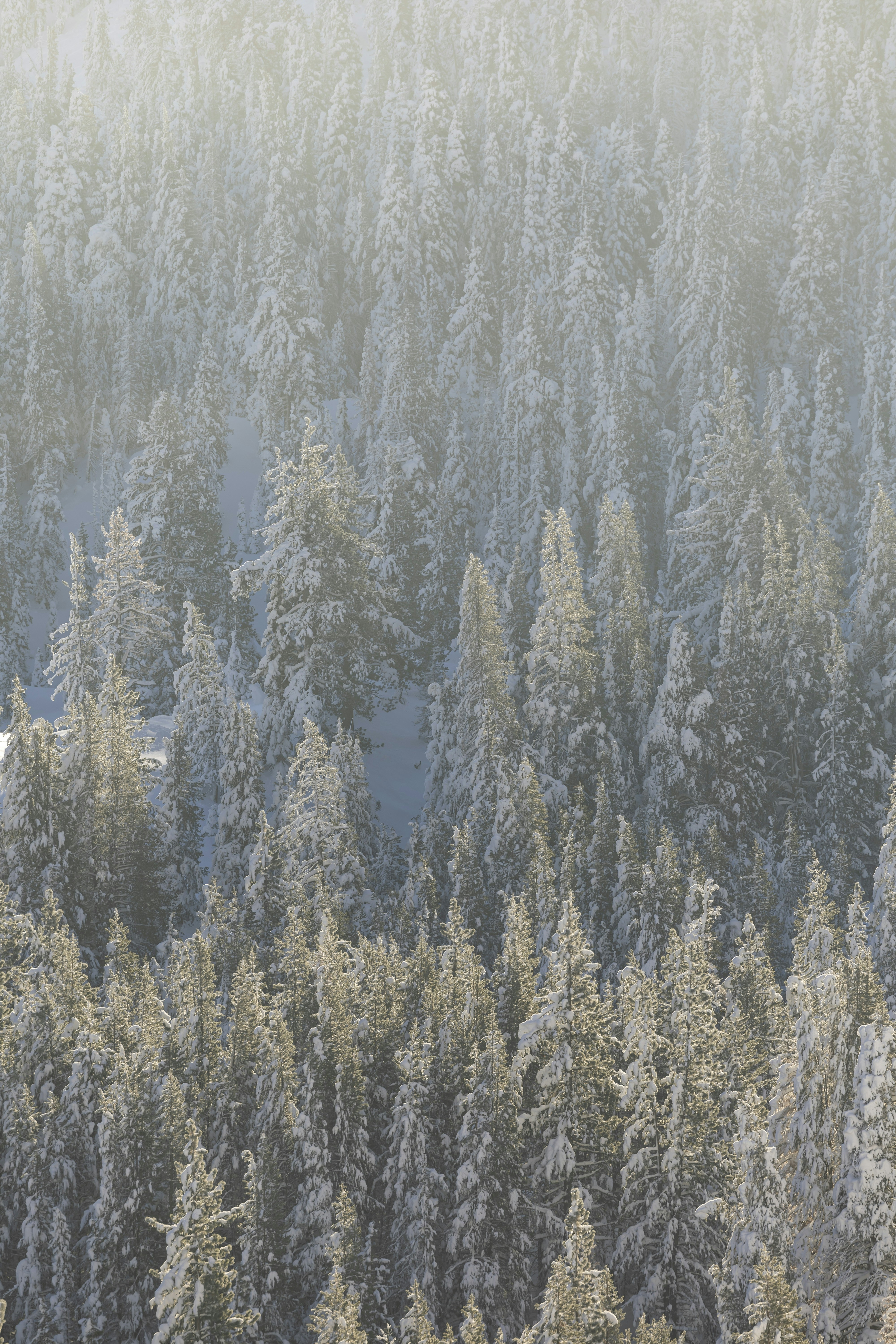 Photo by leo_visions_