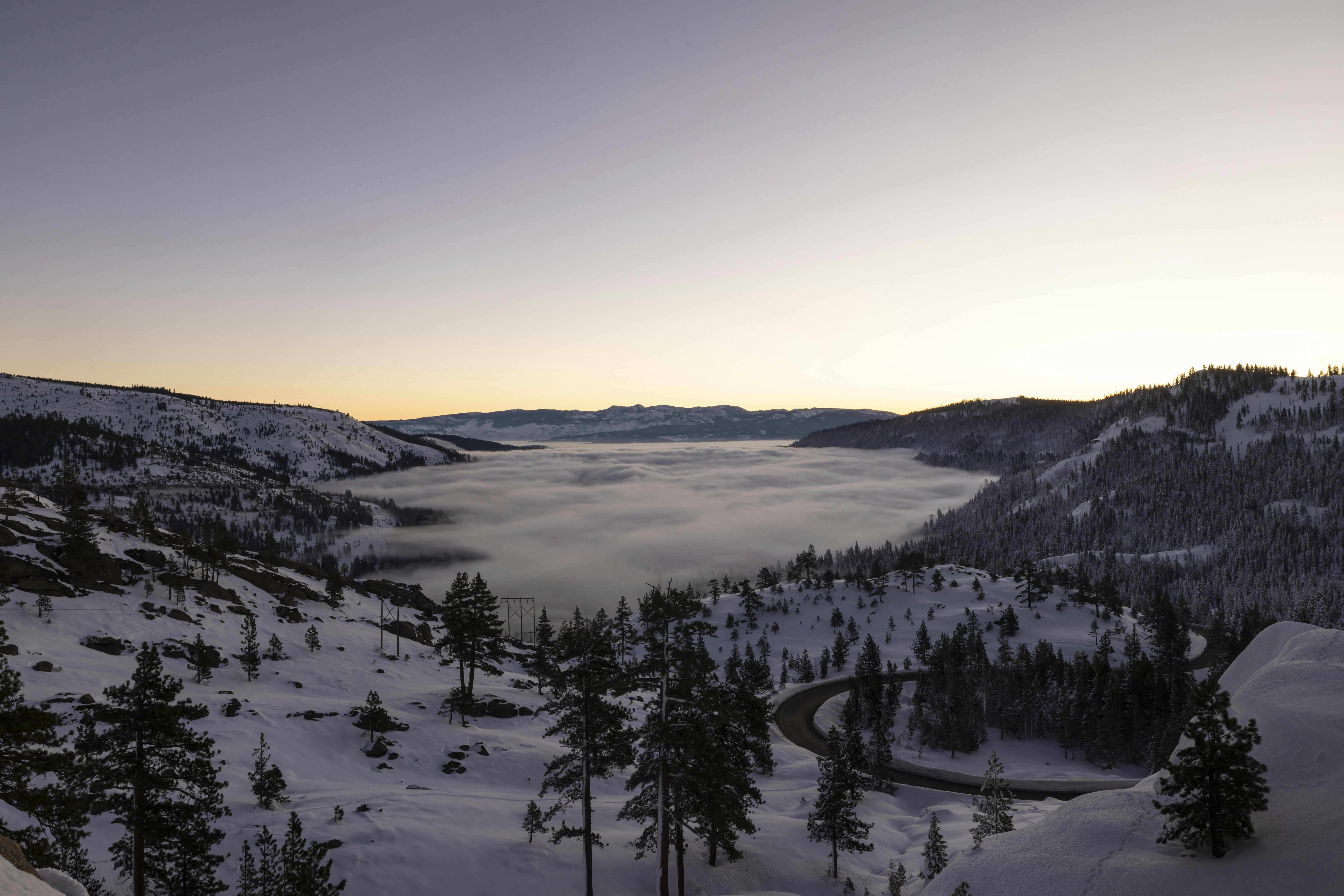 Photo by leo_visions_