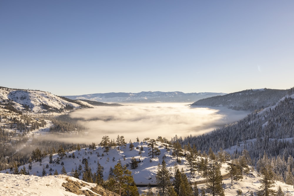 a view of a valley covered in snow