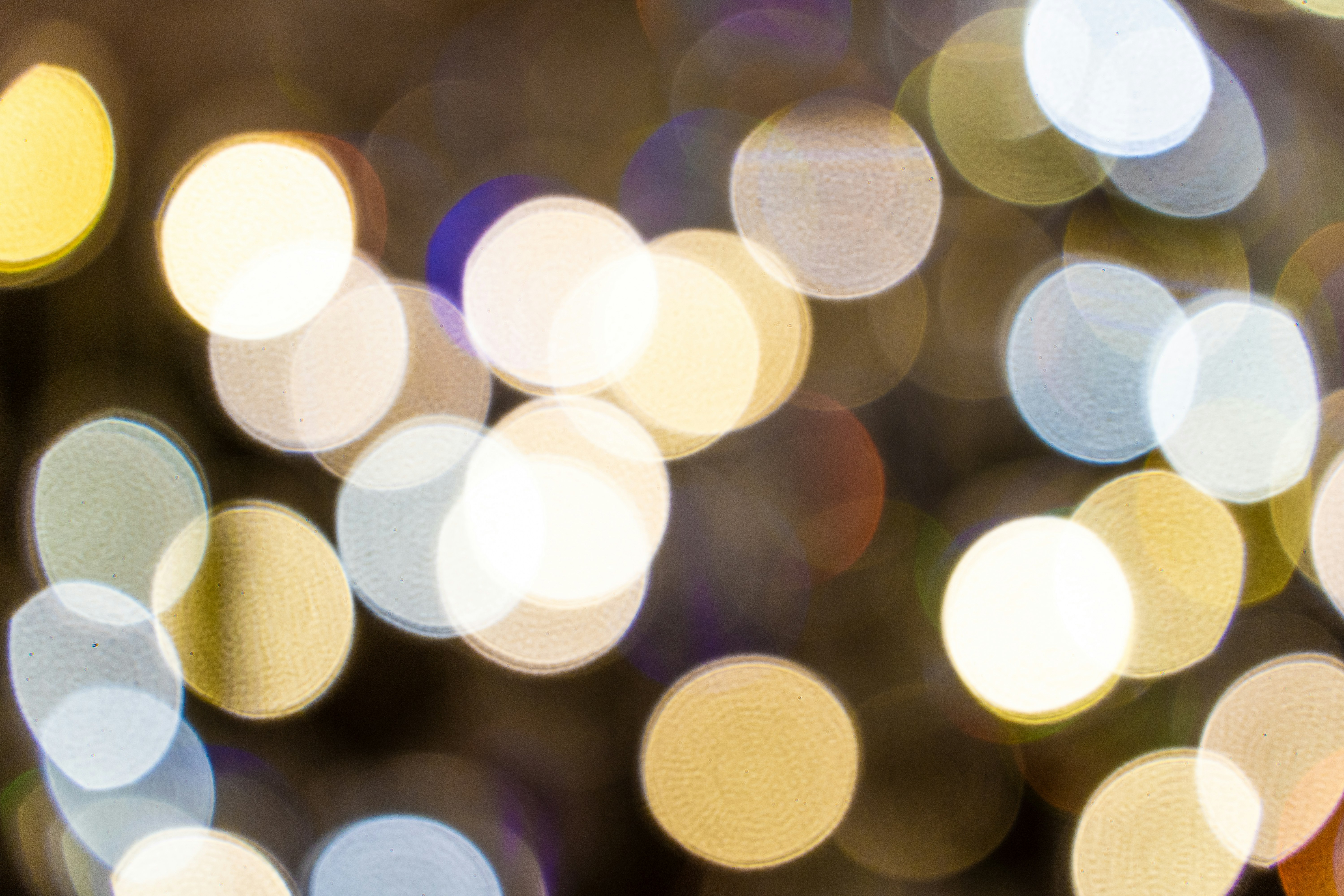 Photo by winstonchen