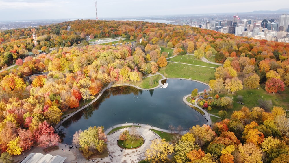 an aerial view of a lake surrounded by trees