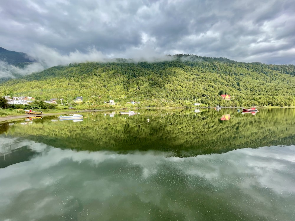 a body of water surrounded by a lush green hillside