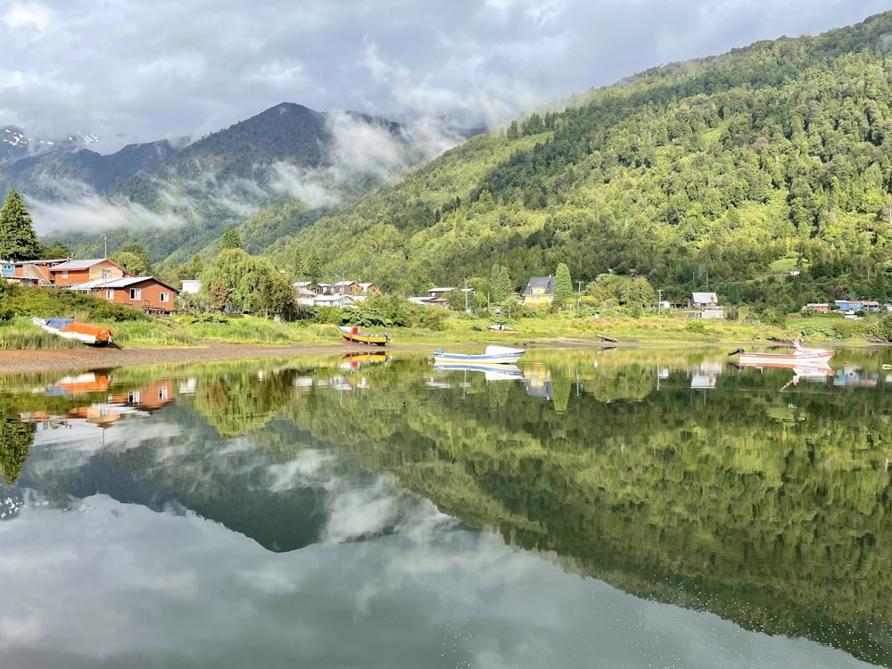 a body of water surrounded by a lush green hillside