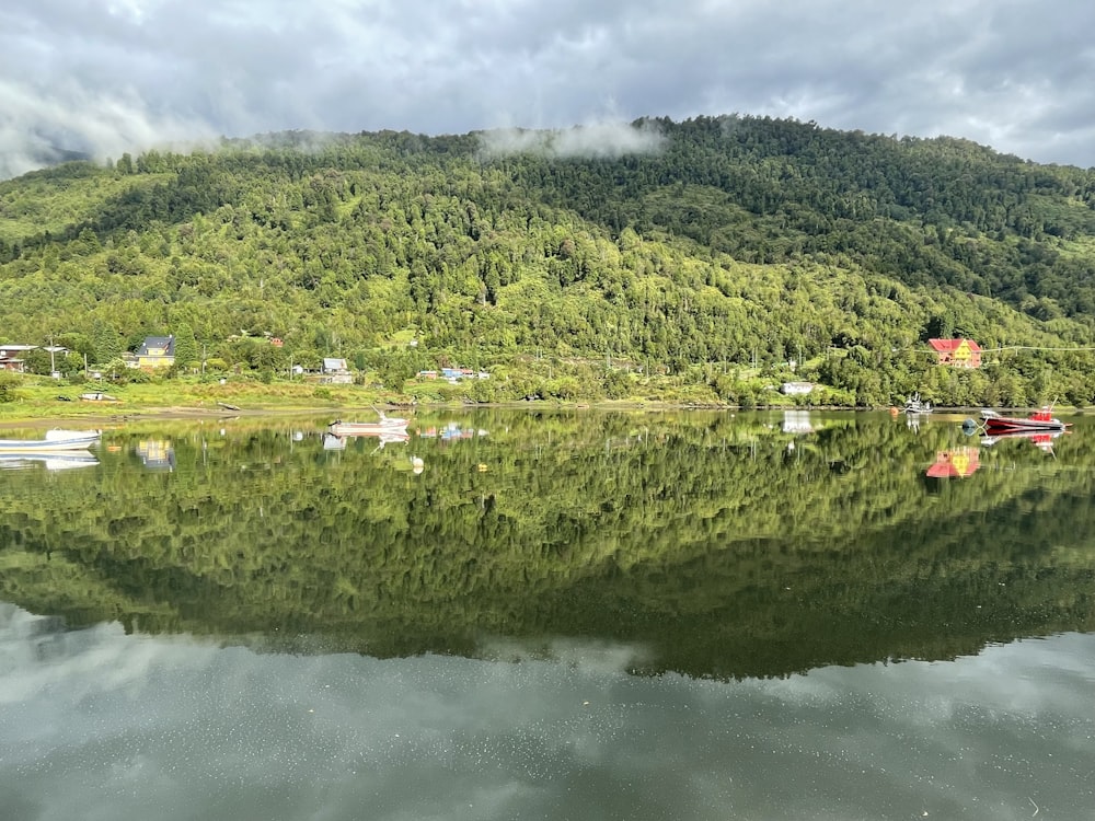 a body of water surrounded by a lush green hillside