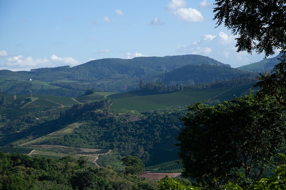 Ein malerischer Blick auf ein Tal mit sanften Hügeln in der Ferne
