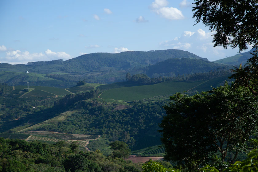 A valley of coffee farms and rolling hills in Sao Paulo state, Brazil.