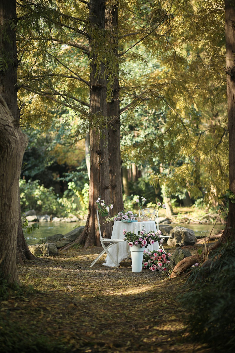 a table and chairs in the middle of a forest