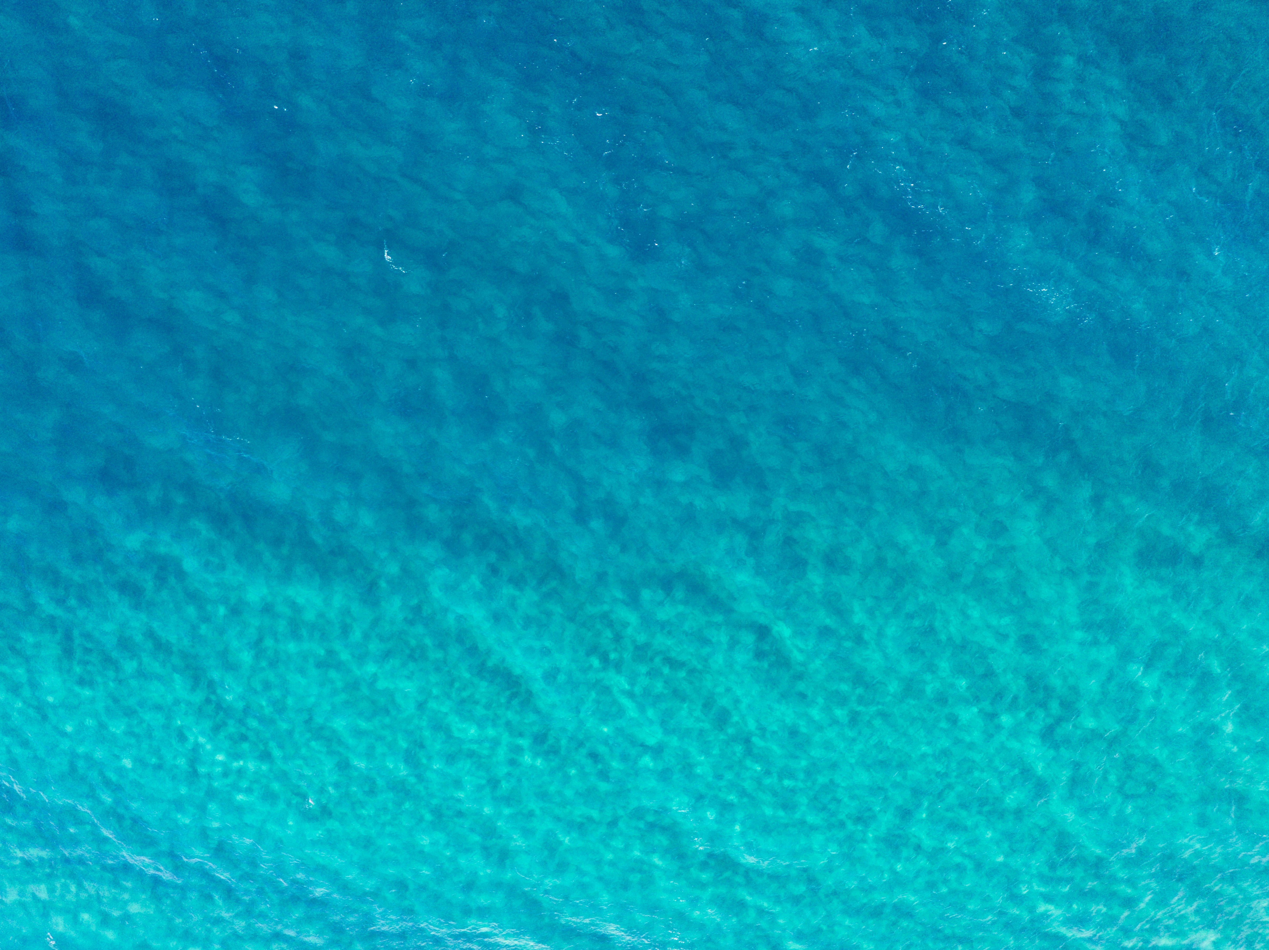 Photo by joshwithers