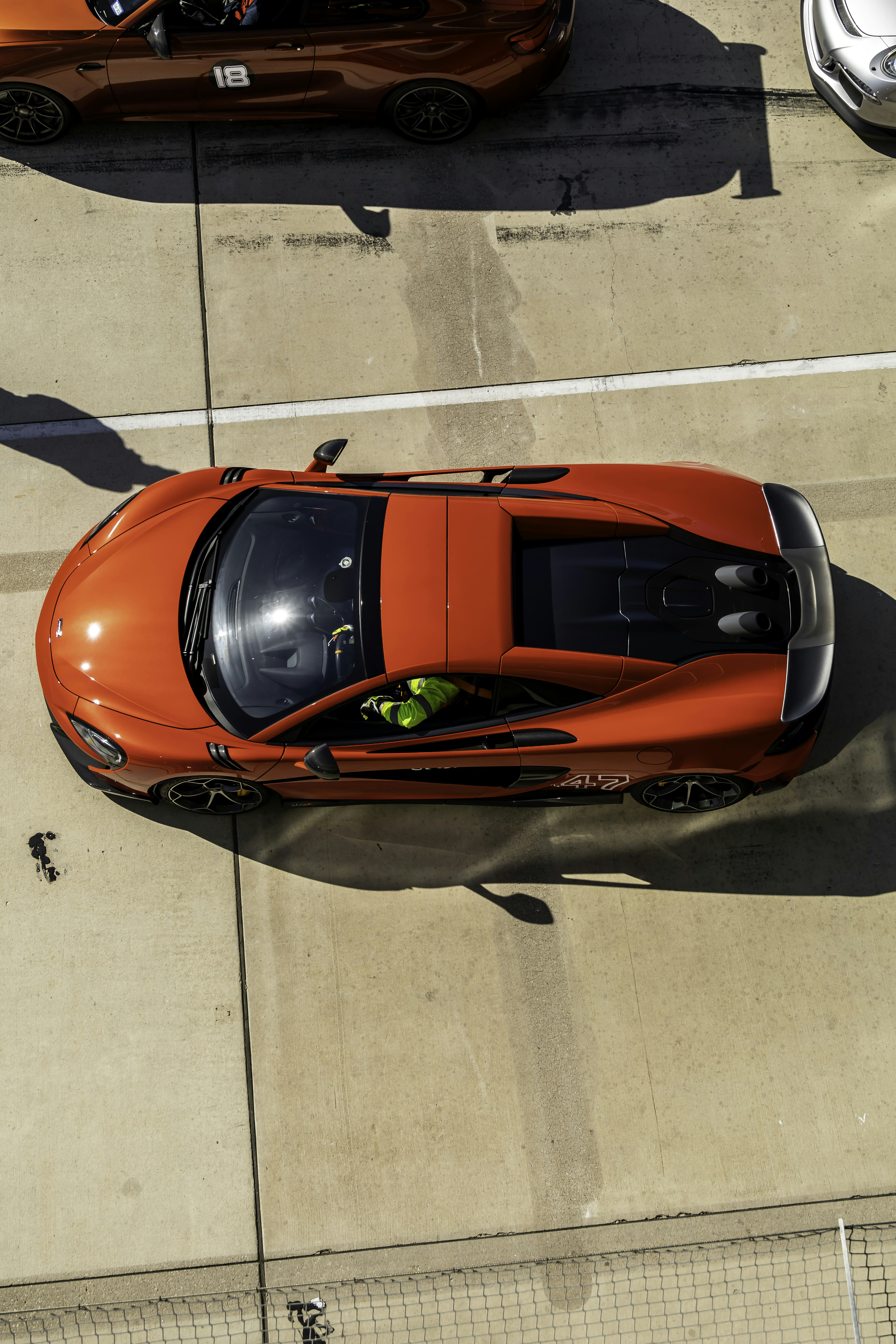 Photo by lonestarexotic