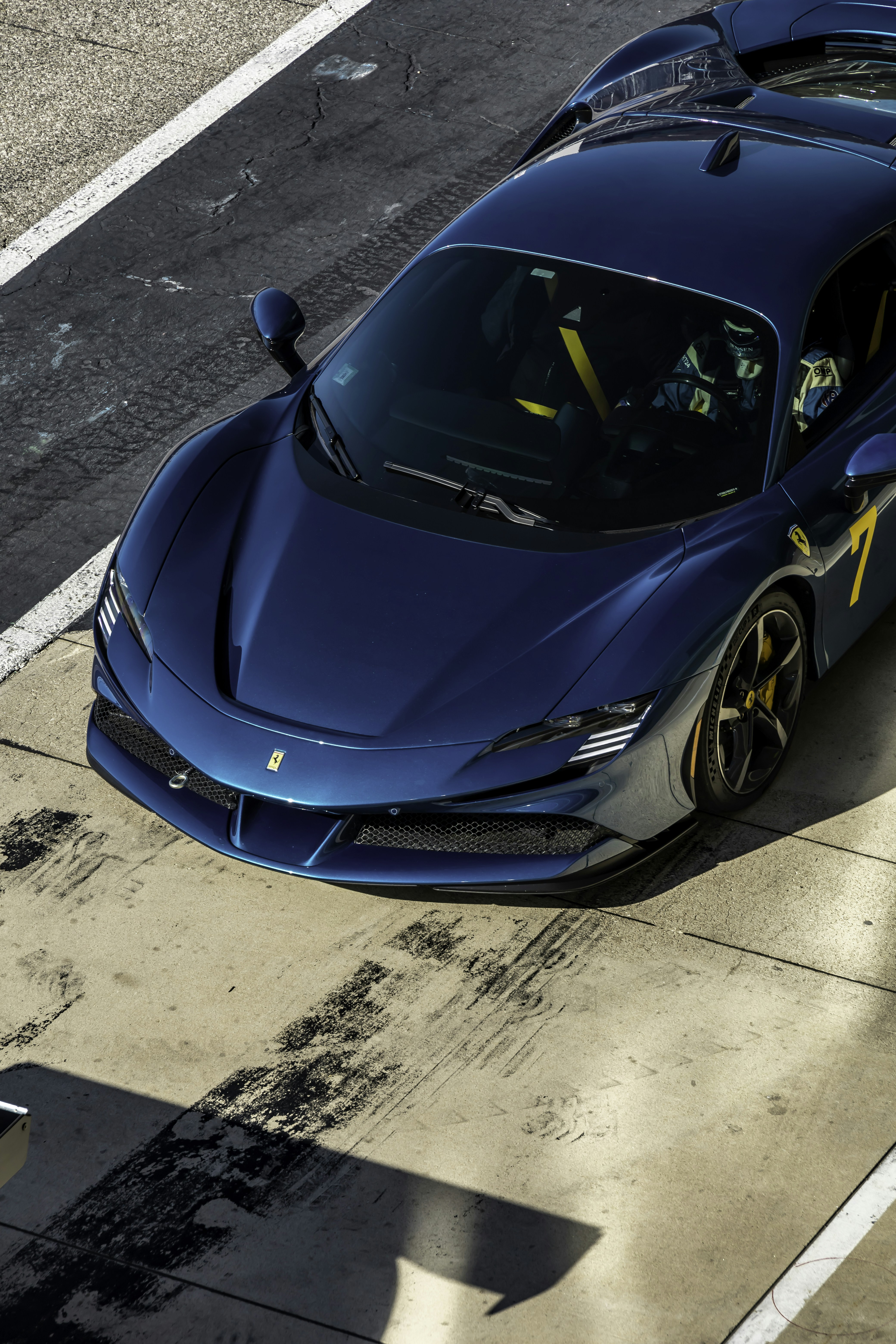 Photo by lonestarexotic