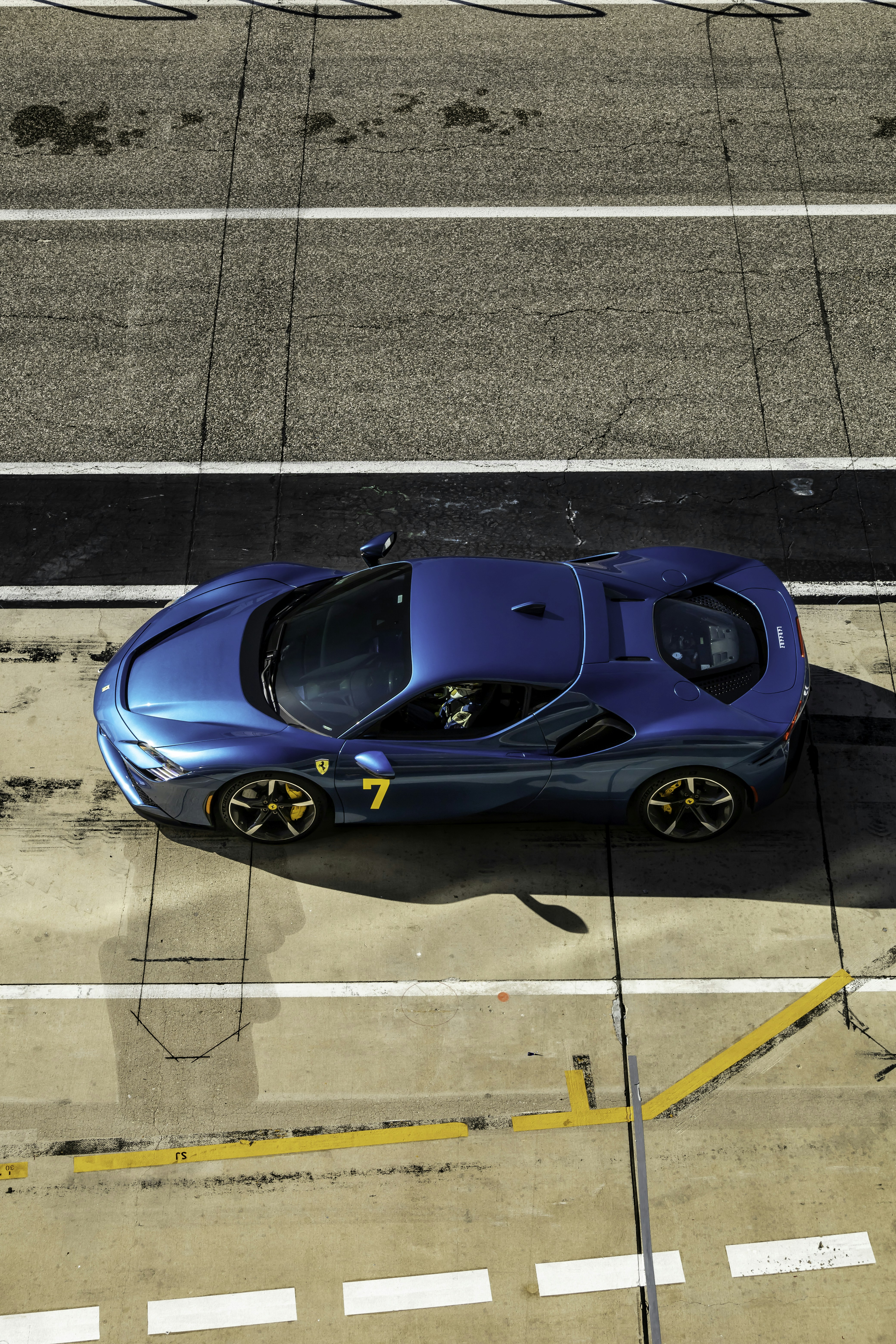 Photo by lonestarexotic