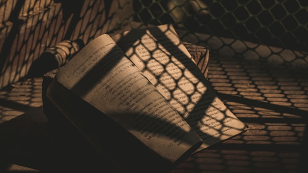 A book with visible text lies open in a dimly lit environment, casting grid-like shadows across its pages from a nearby mesh fence. The scene appears vintage and contemplative, with warm sunlight creating a pattern on the textured surface.