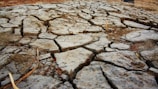 A surface of dry, cracked earth with visible gaps between chunks of dirt, suggesting a parched landscape. Some small sticks and sparse vegetation can be seen scattered across the ground.