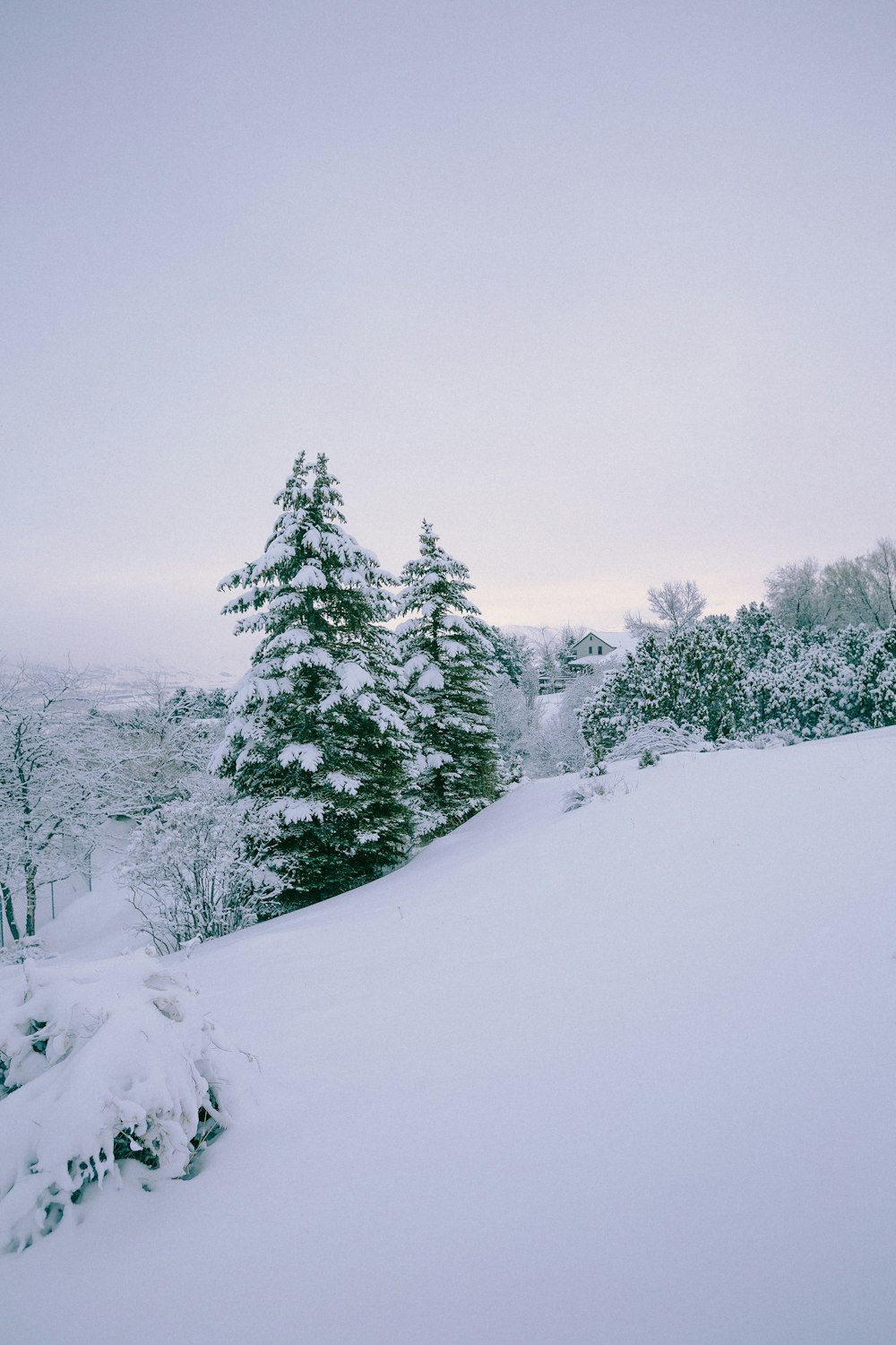 a snowboarder is going down a snowy hill