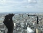 A hand holds a pair of eyeglasses against a cityscape background. The buildings are clearly seen through the lenses, while the rest of the view is slightly blurred. This contrast emphasizes the clarity and focus provided by the glasses, highlighting details of the urban landscape including skyscrapers and a river.