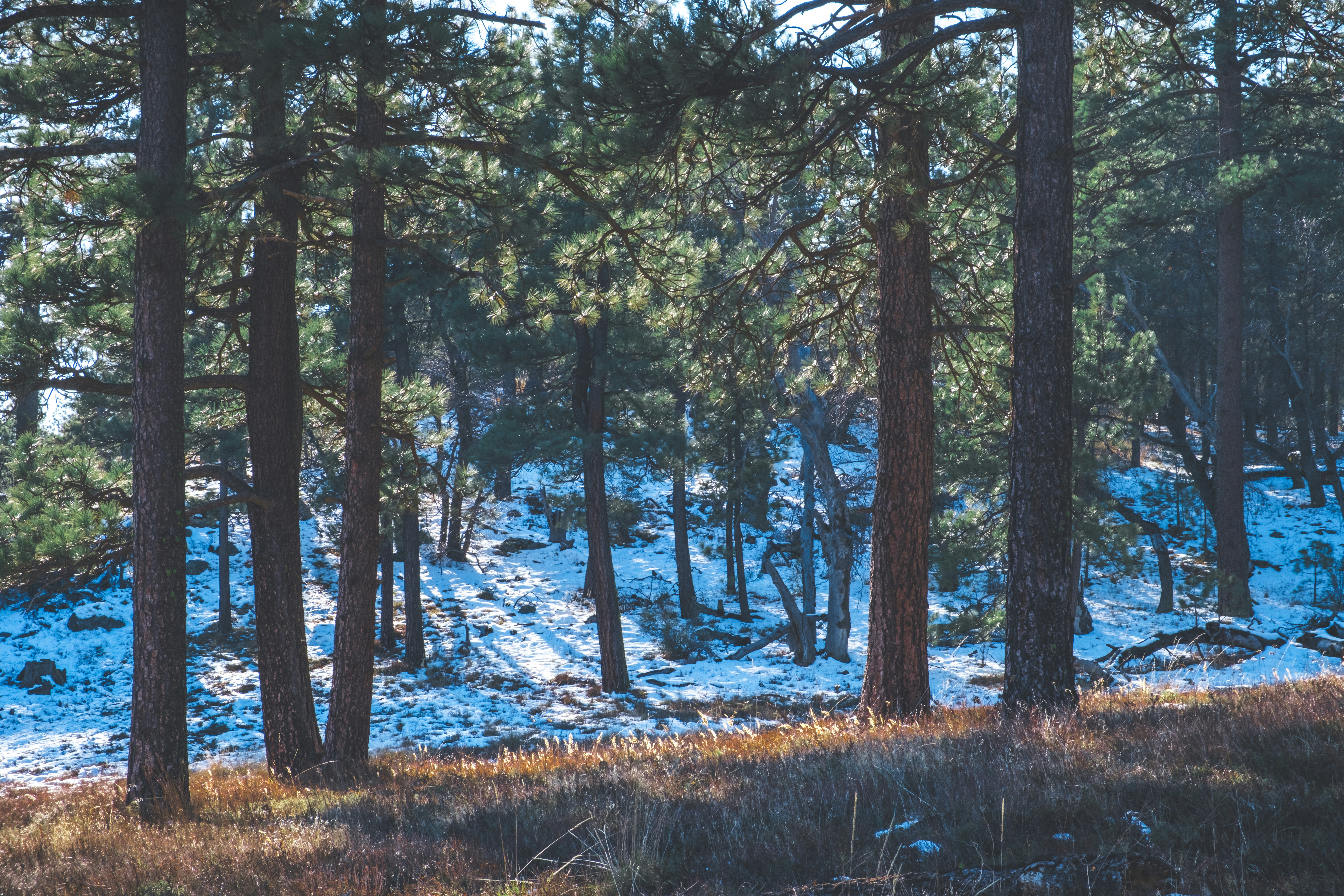 Photo by april_vasquez