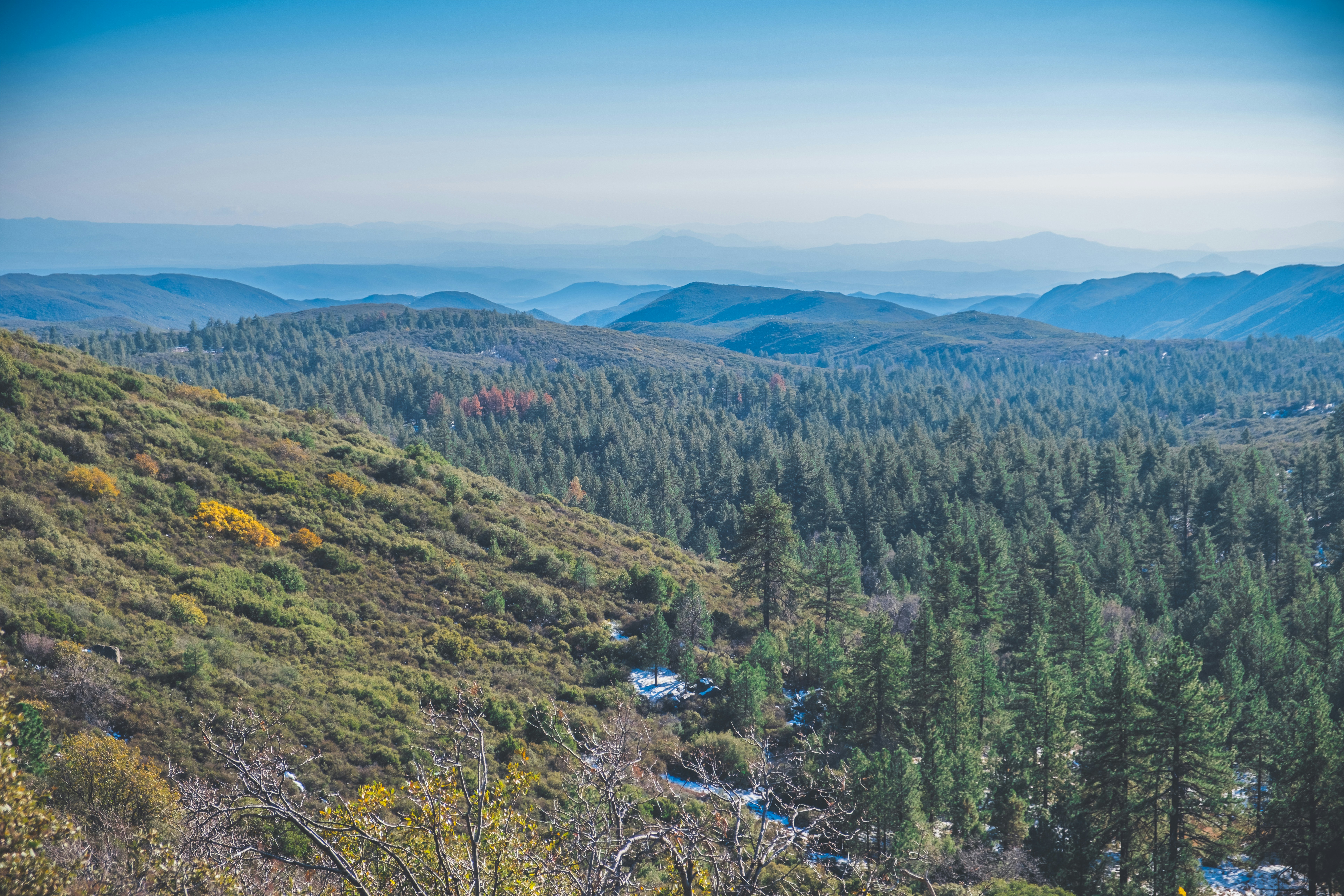 Photo by april_vasquez