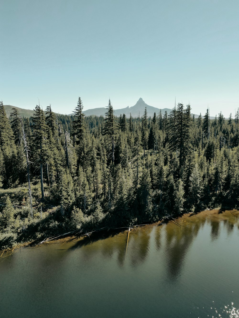 a large body of water surrounded by trees