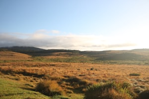 Nuwara Eliya