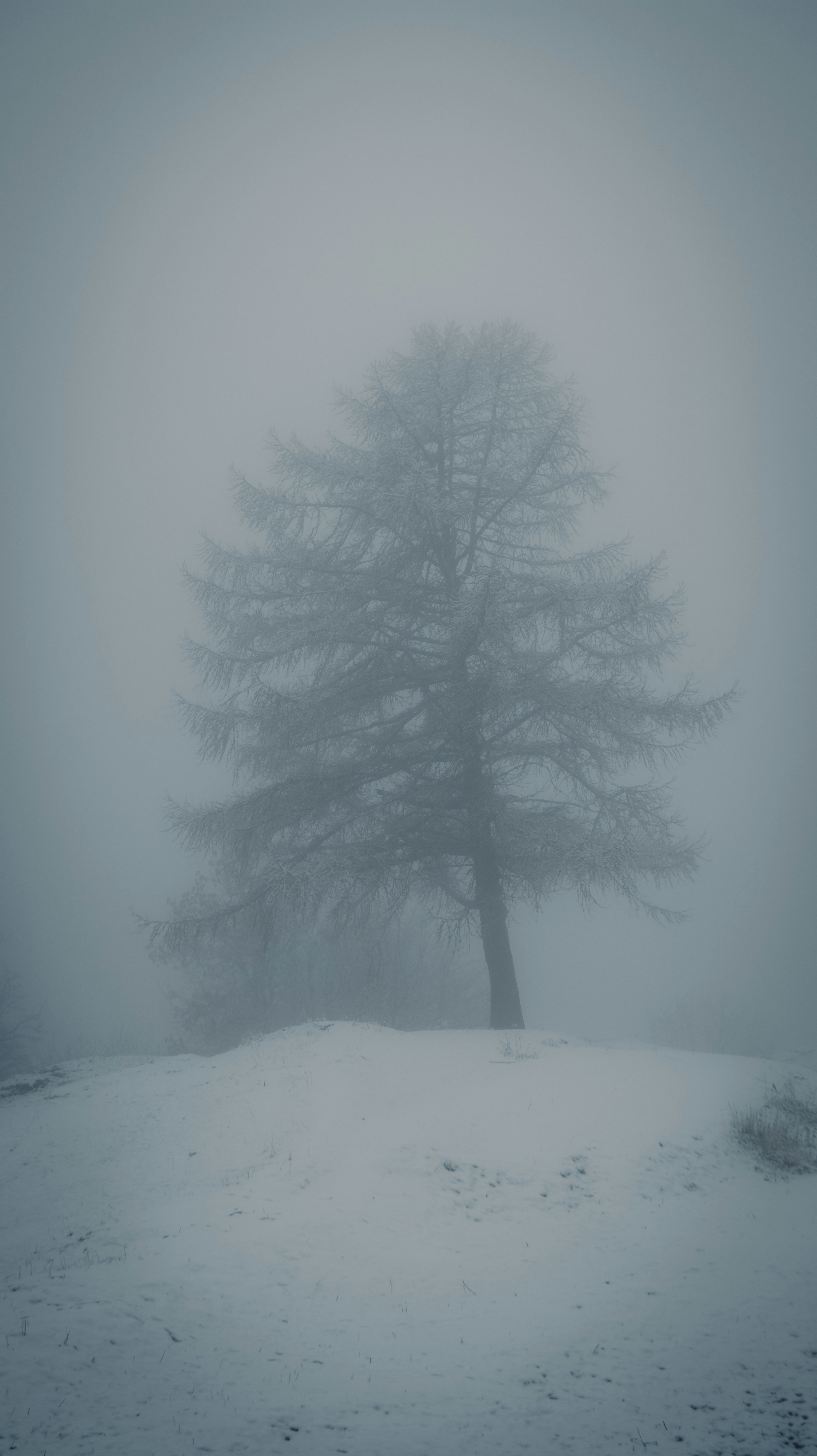 Photo by tersiusvanrhyn