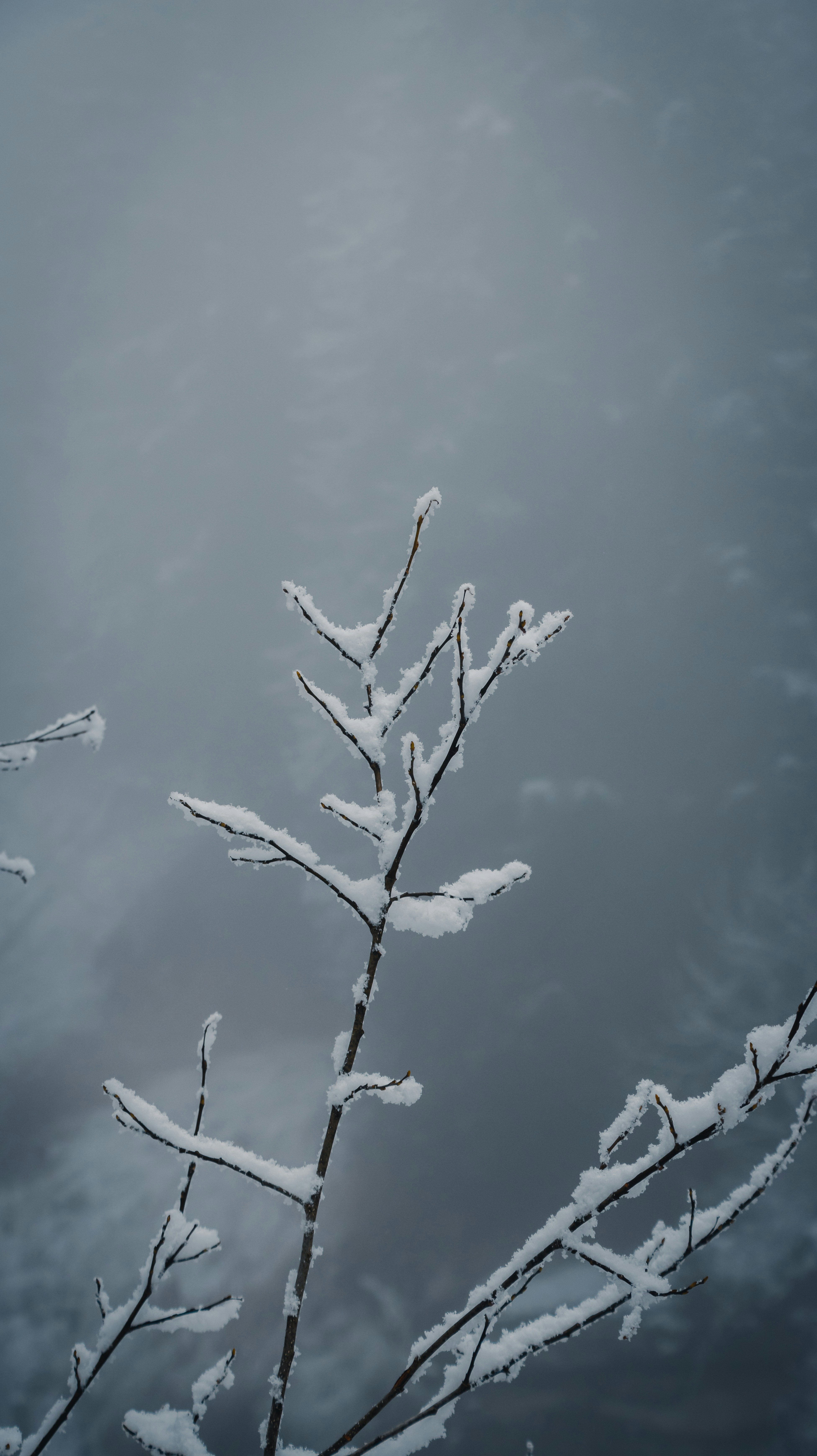 Photo by tersiusvanrhyn