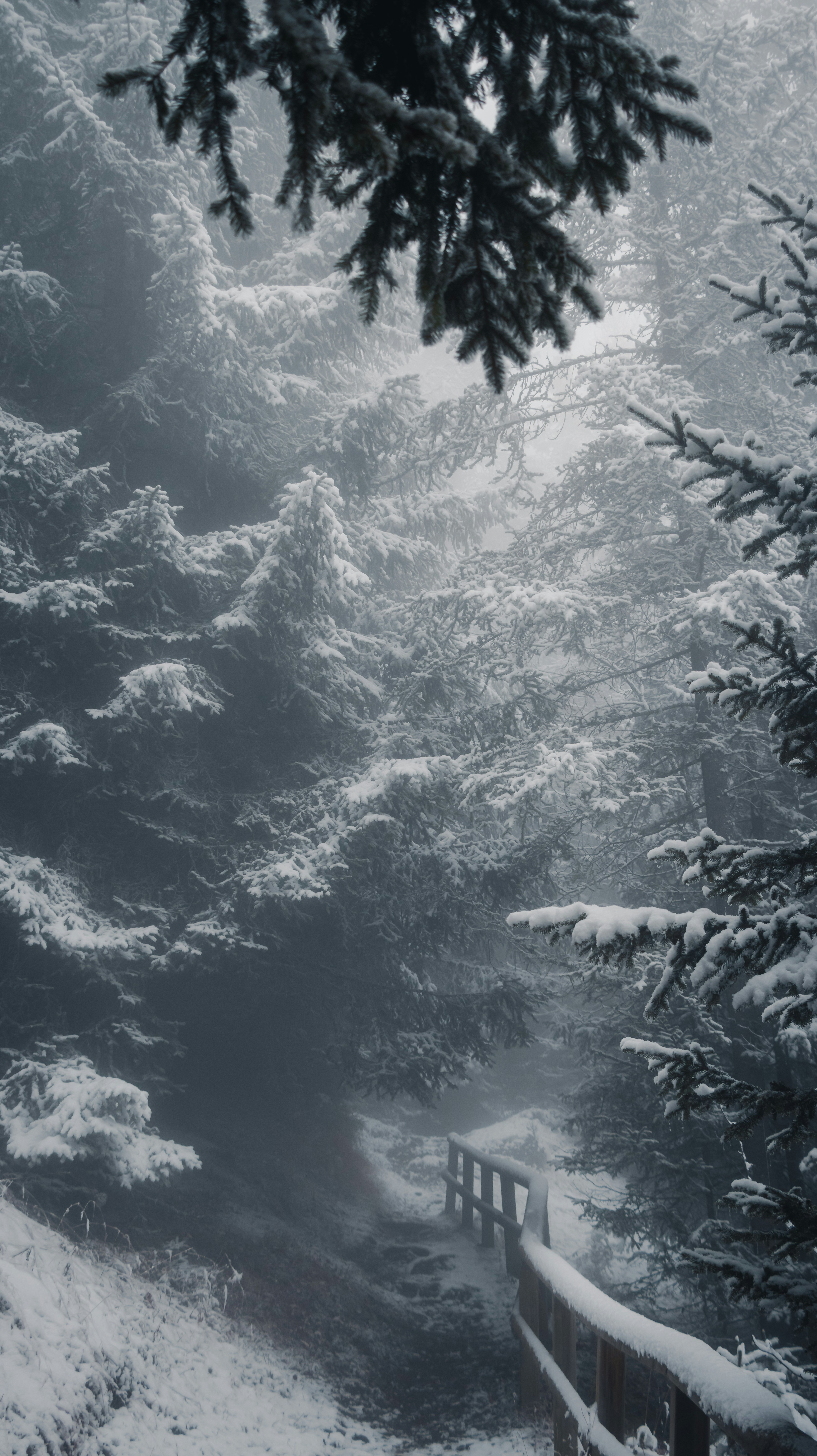 Photo by tersiusvanrhyn