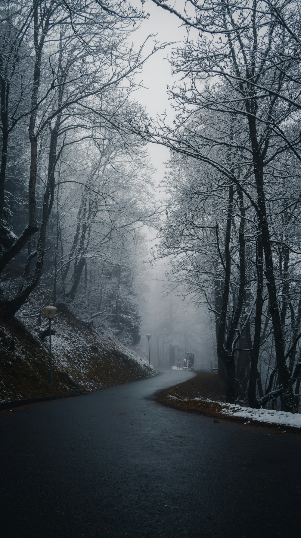 uma estrada no meio de uma floresta coberta de neve