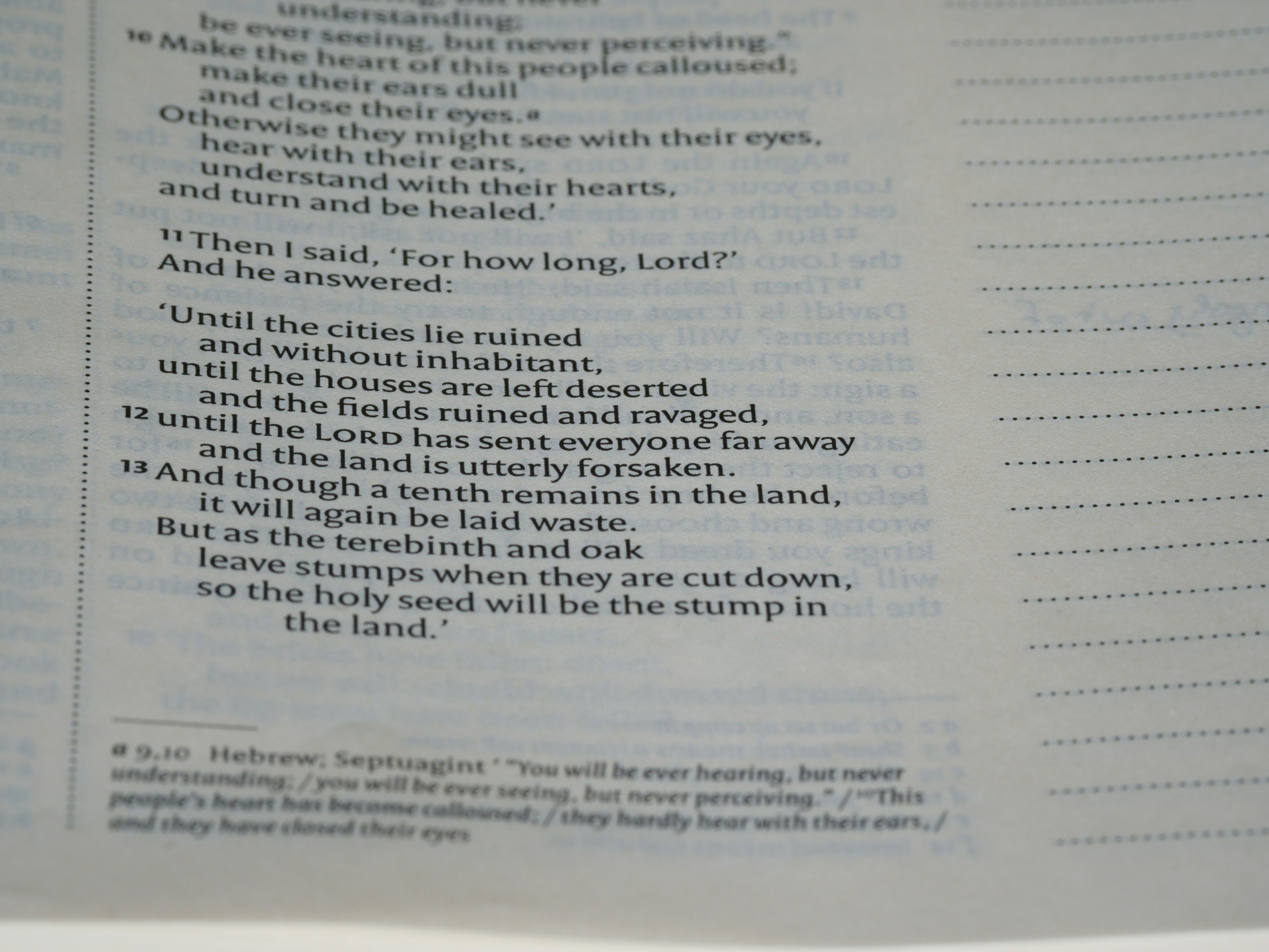 Photo by brett_jordan