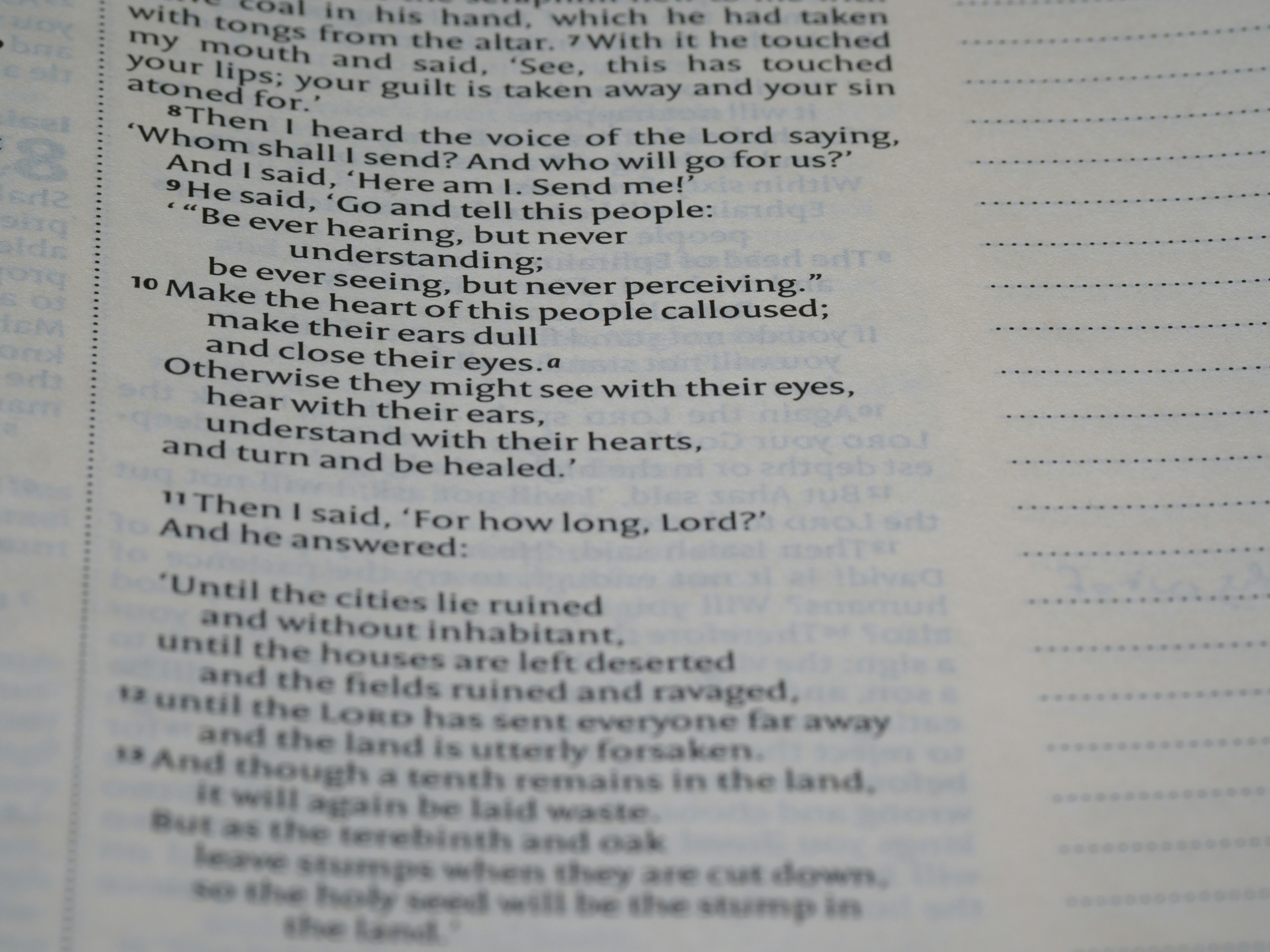 Photo by brett_jordan