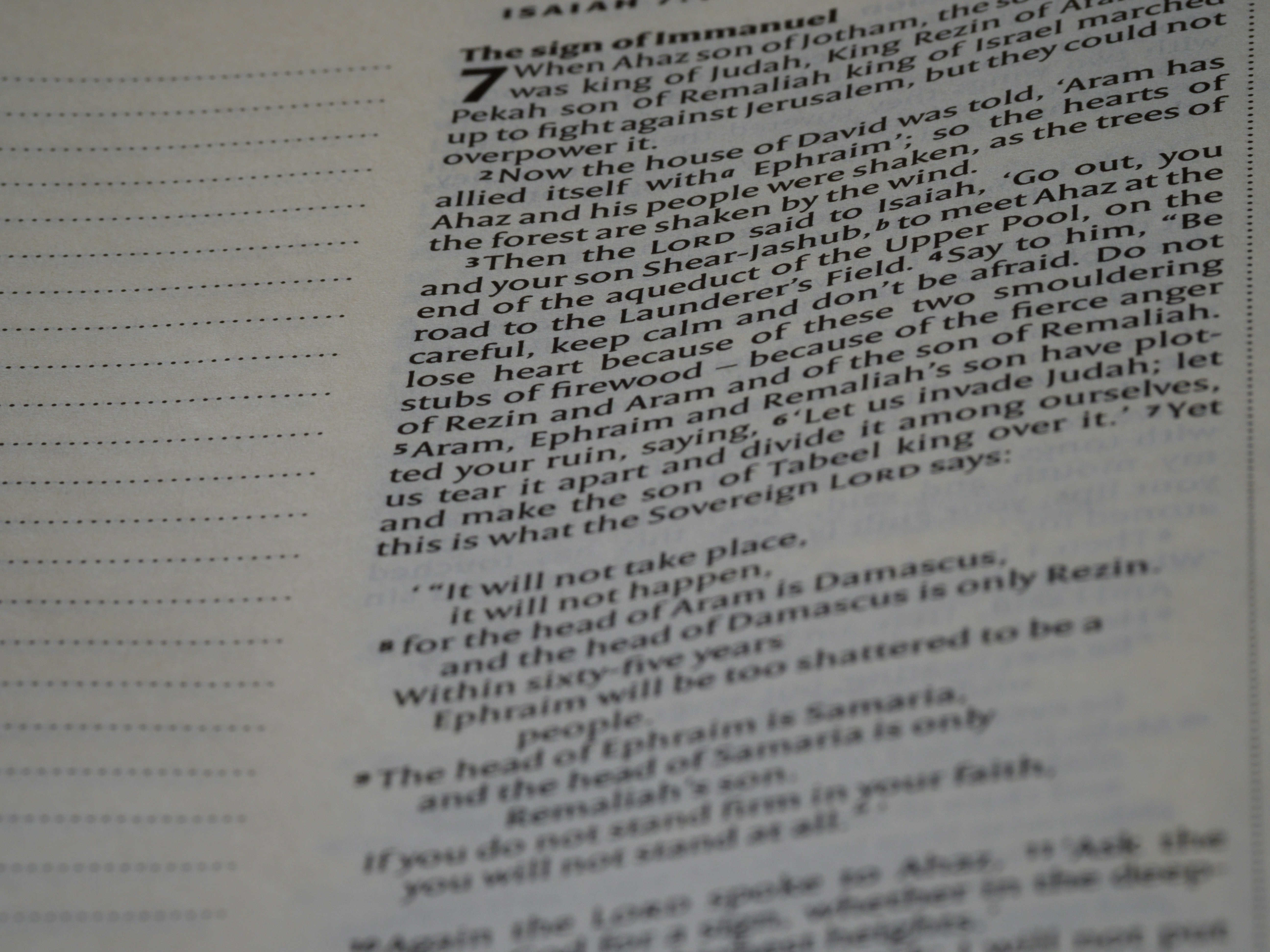 Photo by brett_jordan