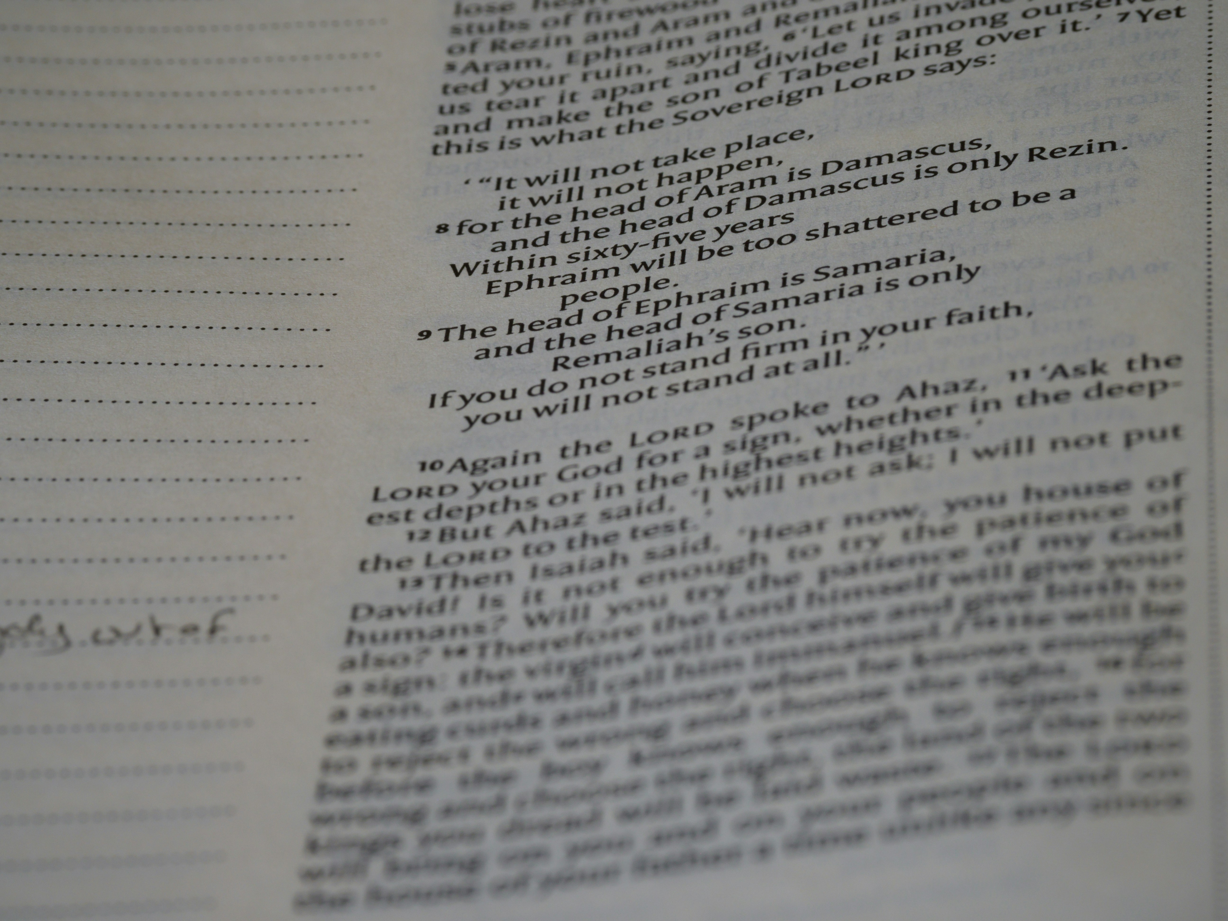 Photo by brett_jordan