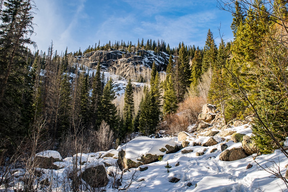 a snow covered mountain surrounded by trees and rocks