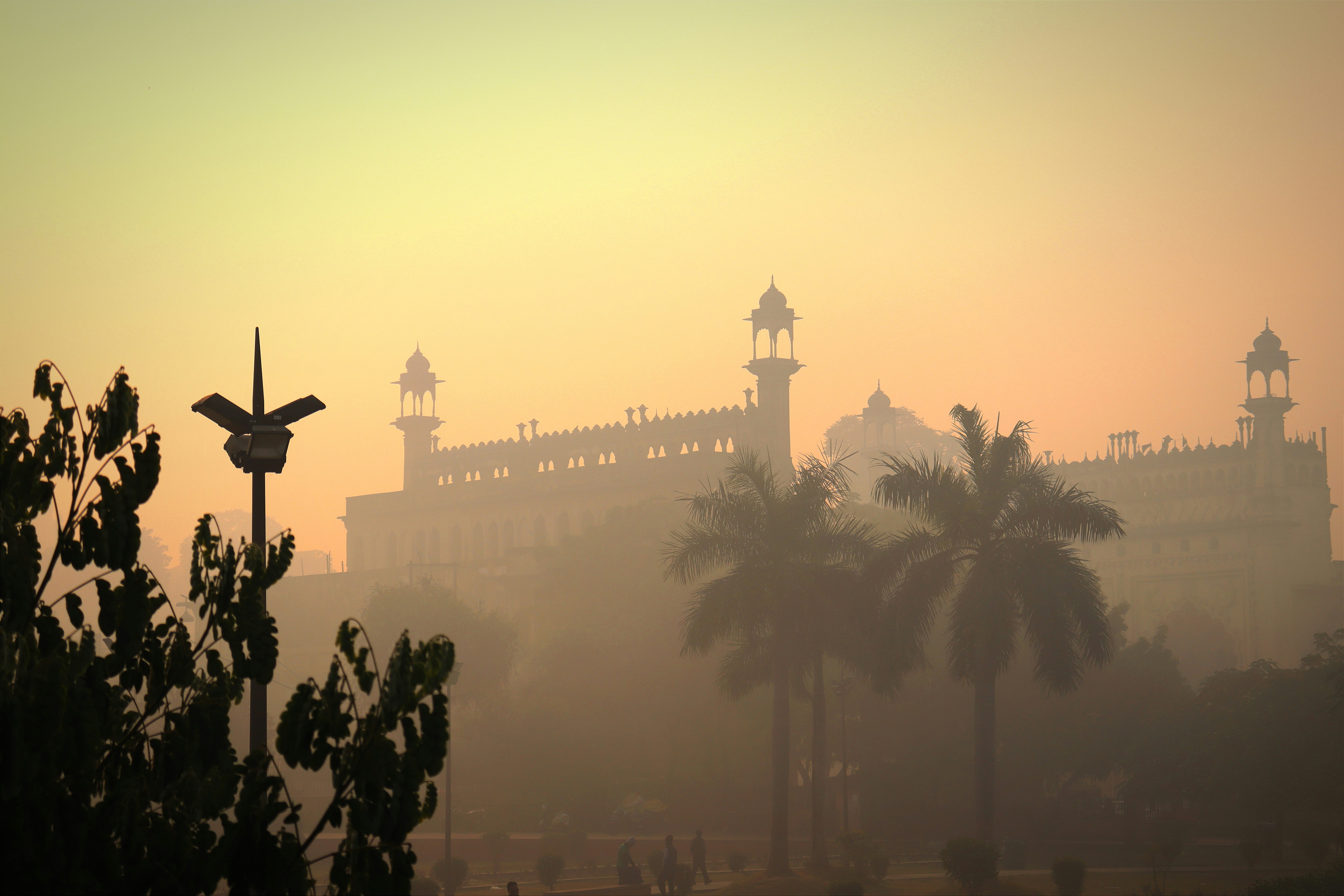 a foggy view of a building with palm trees in the foreground