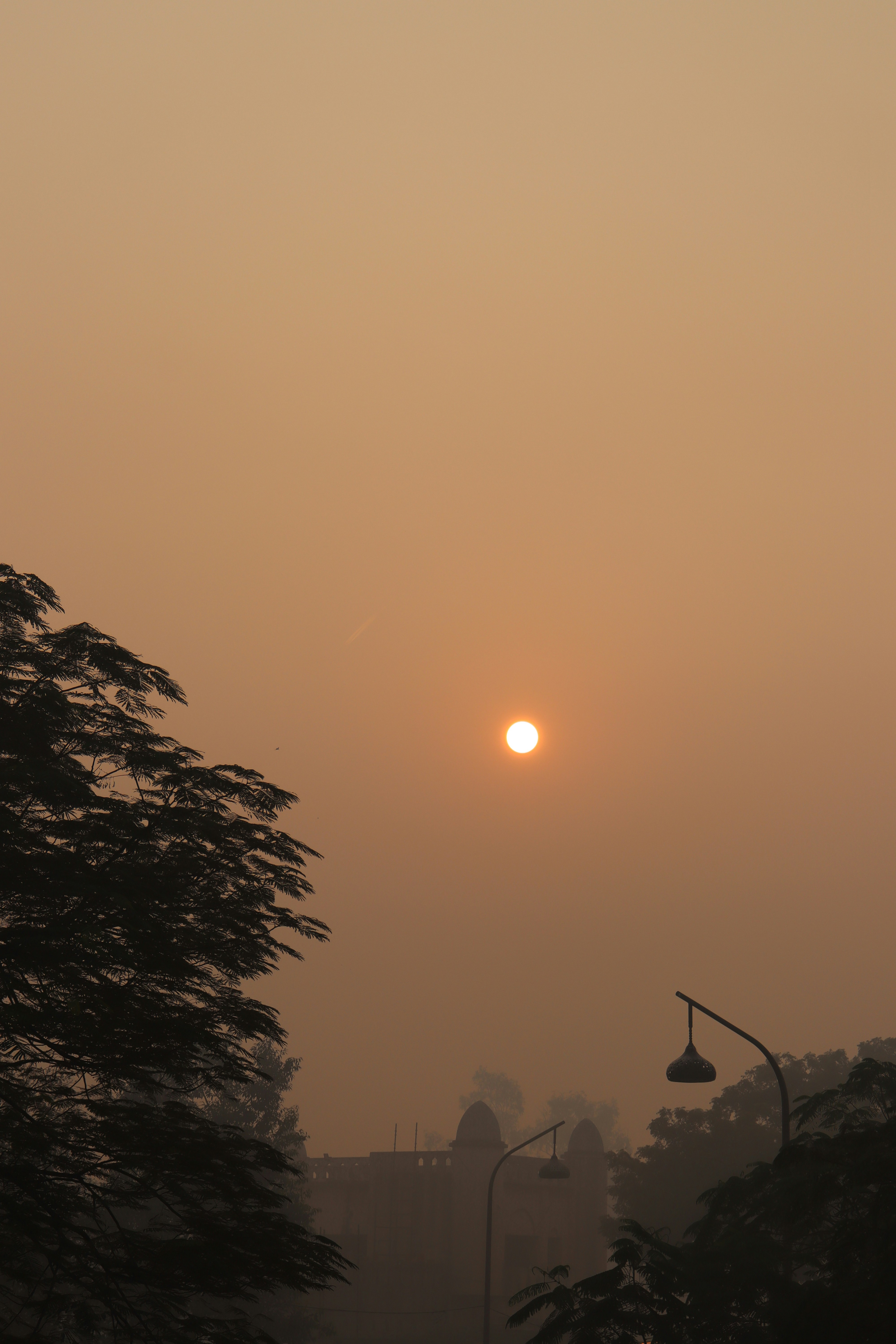 Photo by dpkvishwakarma04