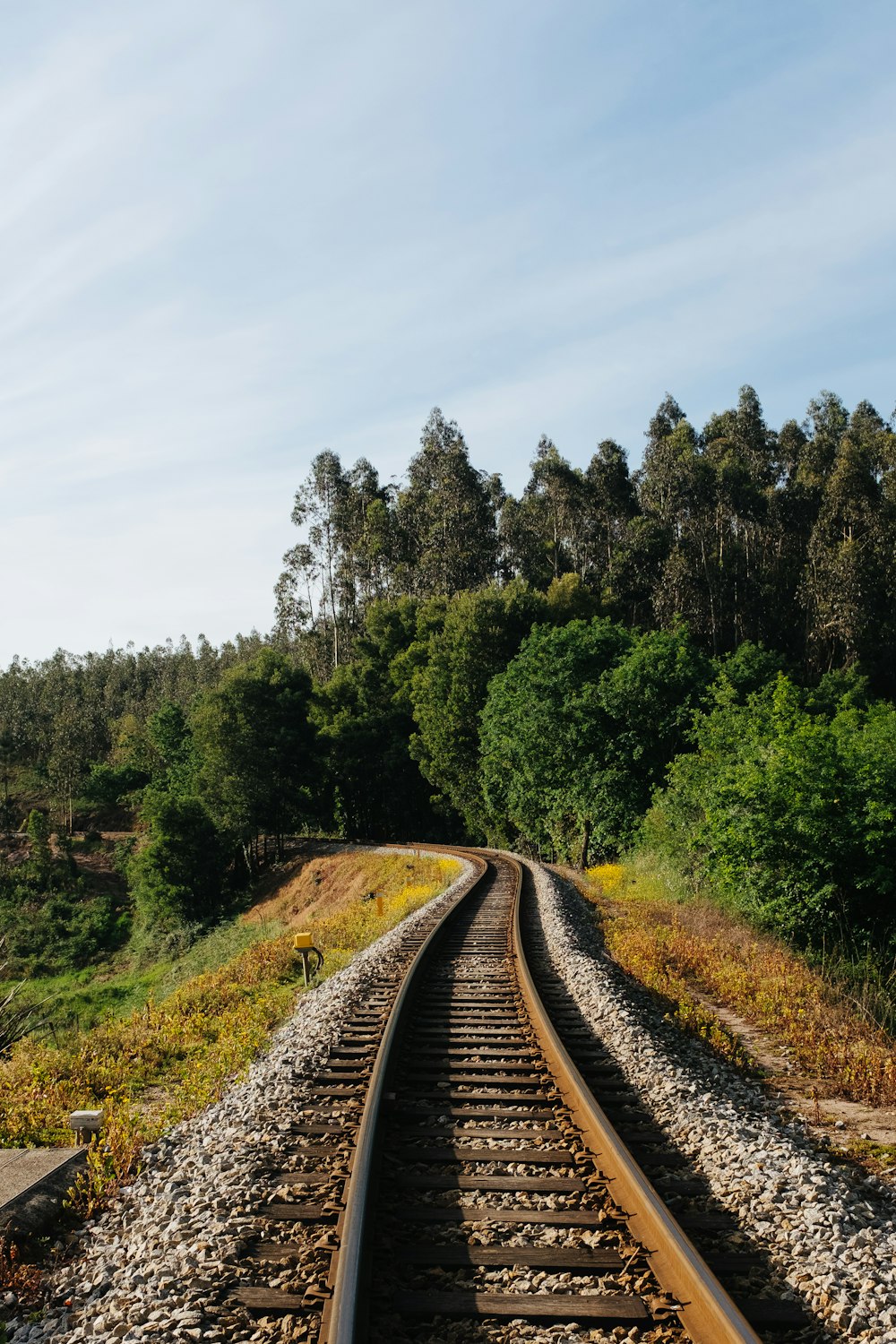 a train track running through a lush green forest