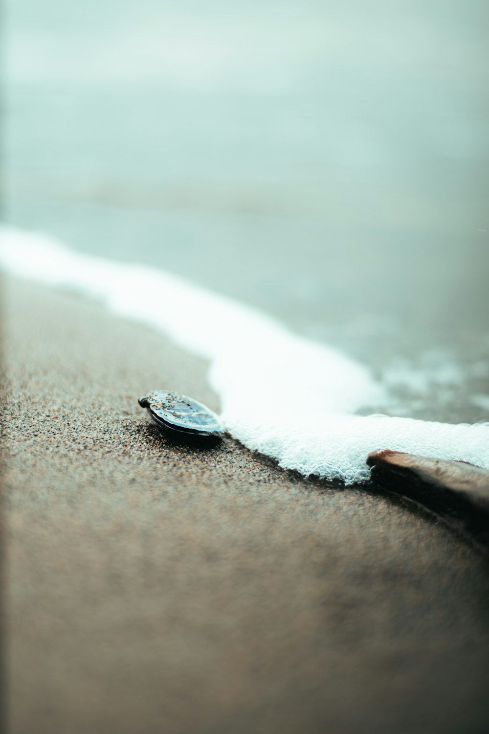 a close up of a surf board on the beach