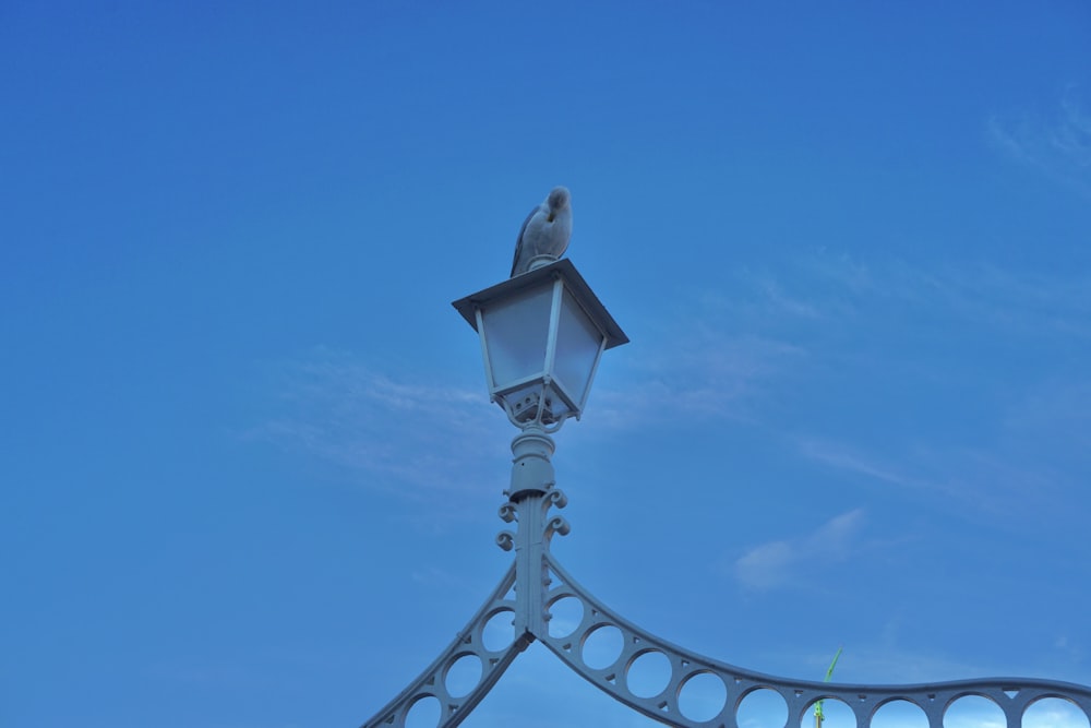 a lamp post with a bird perched on top of it