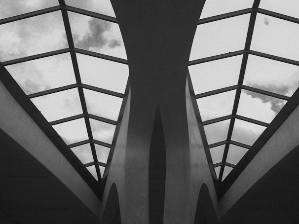 a black and white photo of a skylight in a building