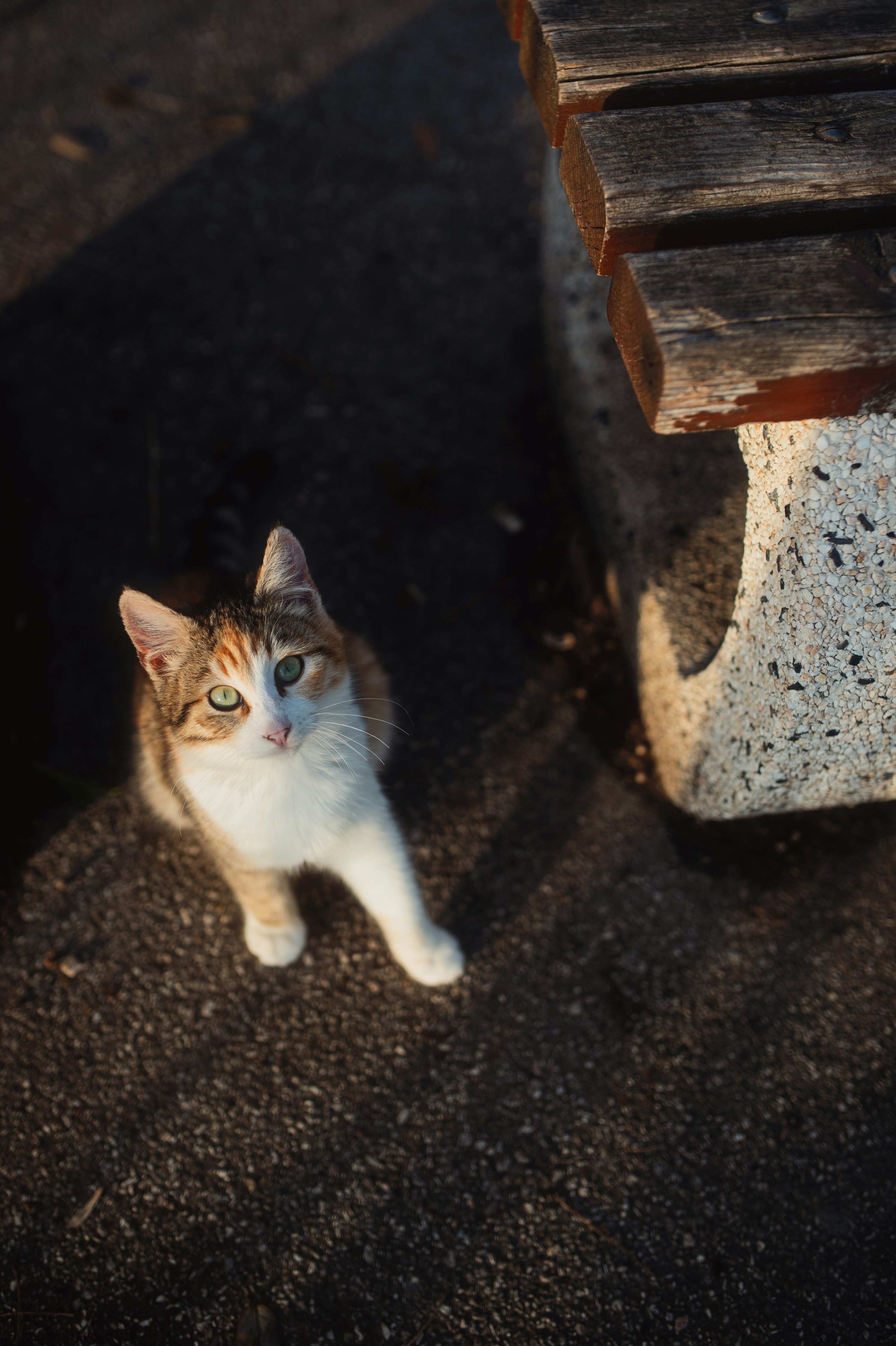 Photo by evil_bumblebee