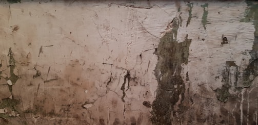 A textured wall surface with peeling paint and patches of exposed plaster. Various shades of brown and gray are present, with some areas of green discoloration. The surface shows cracks, chips, and rough, uneven textures, suggesting age and weathering.
