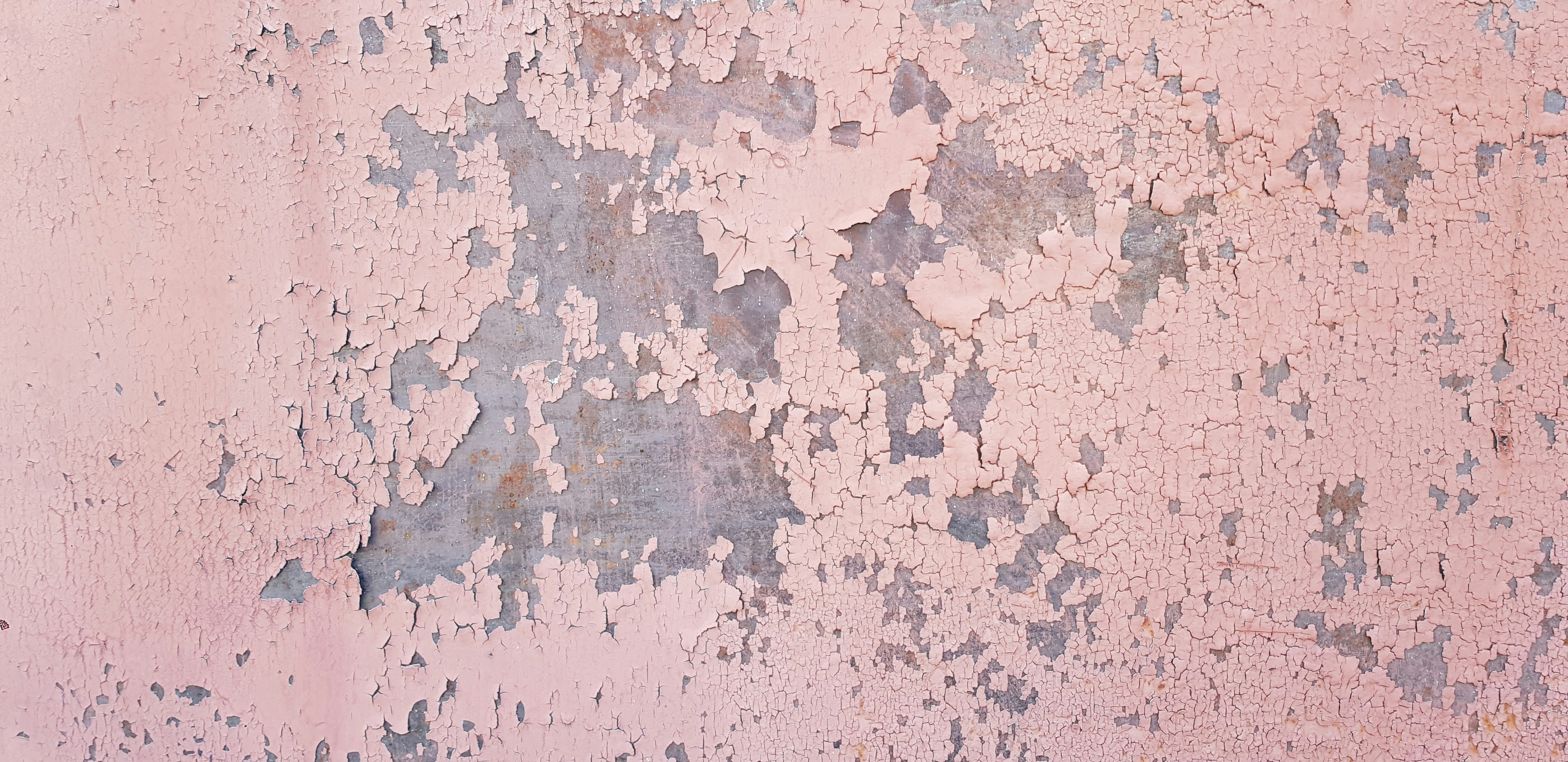 shingles rash wallpaper, wallpaper, Cacar Api Menular? Gejala, Penyebab, & Pencegahannya 4