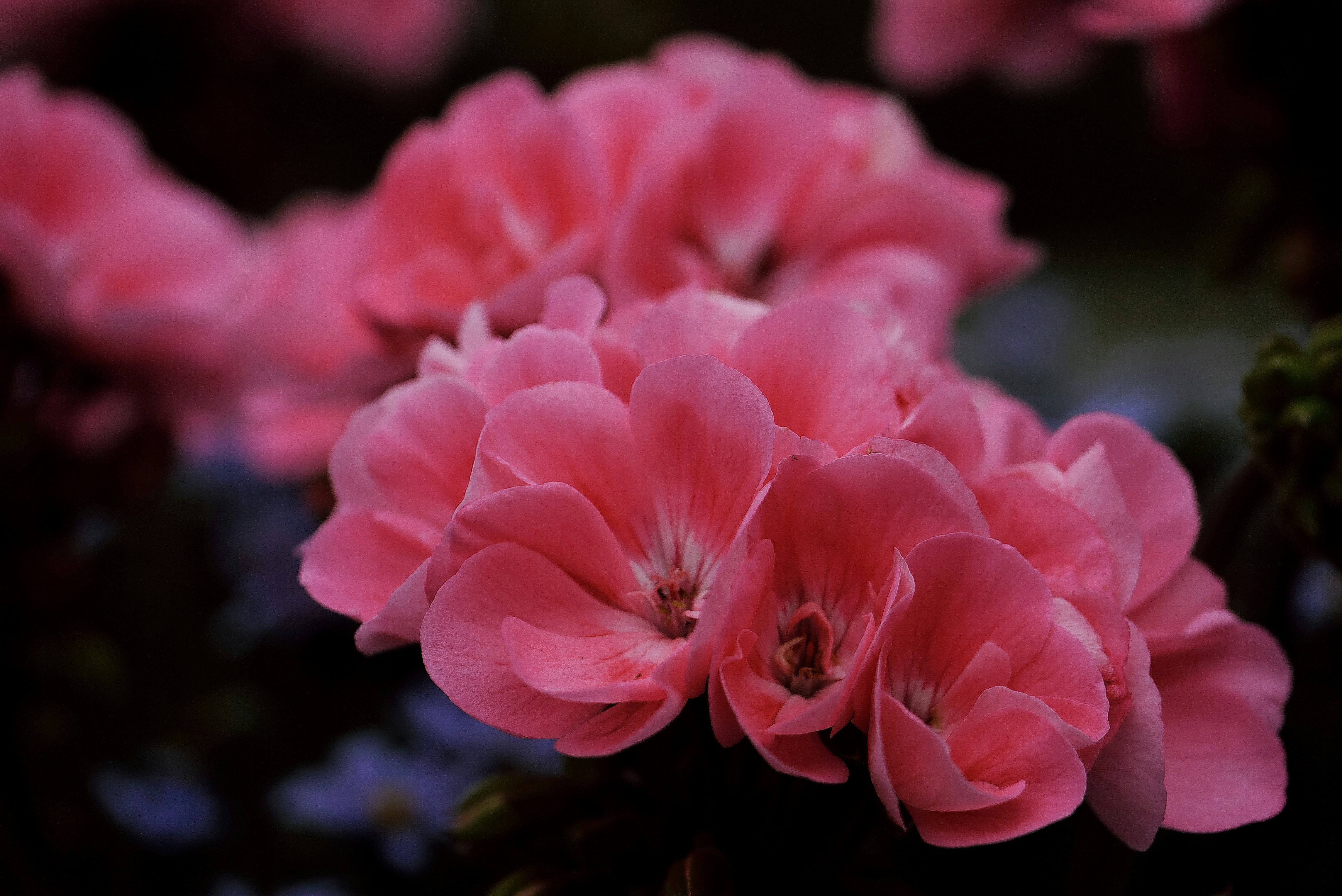 Photo by balmy_sunset