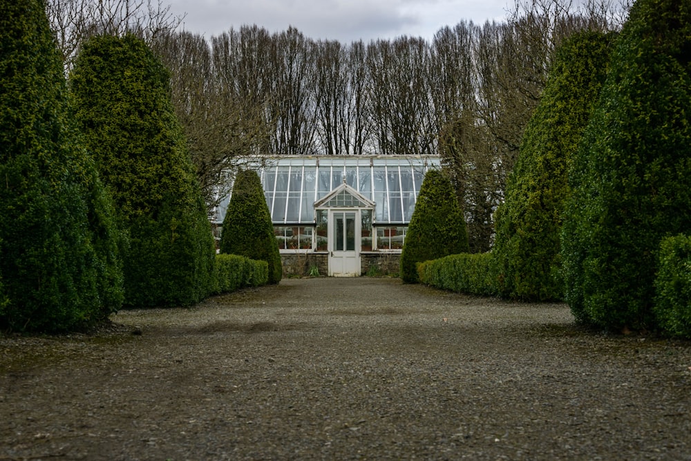 a house with a glass roof surrounded by trees