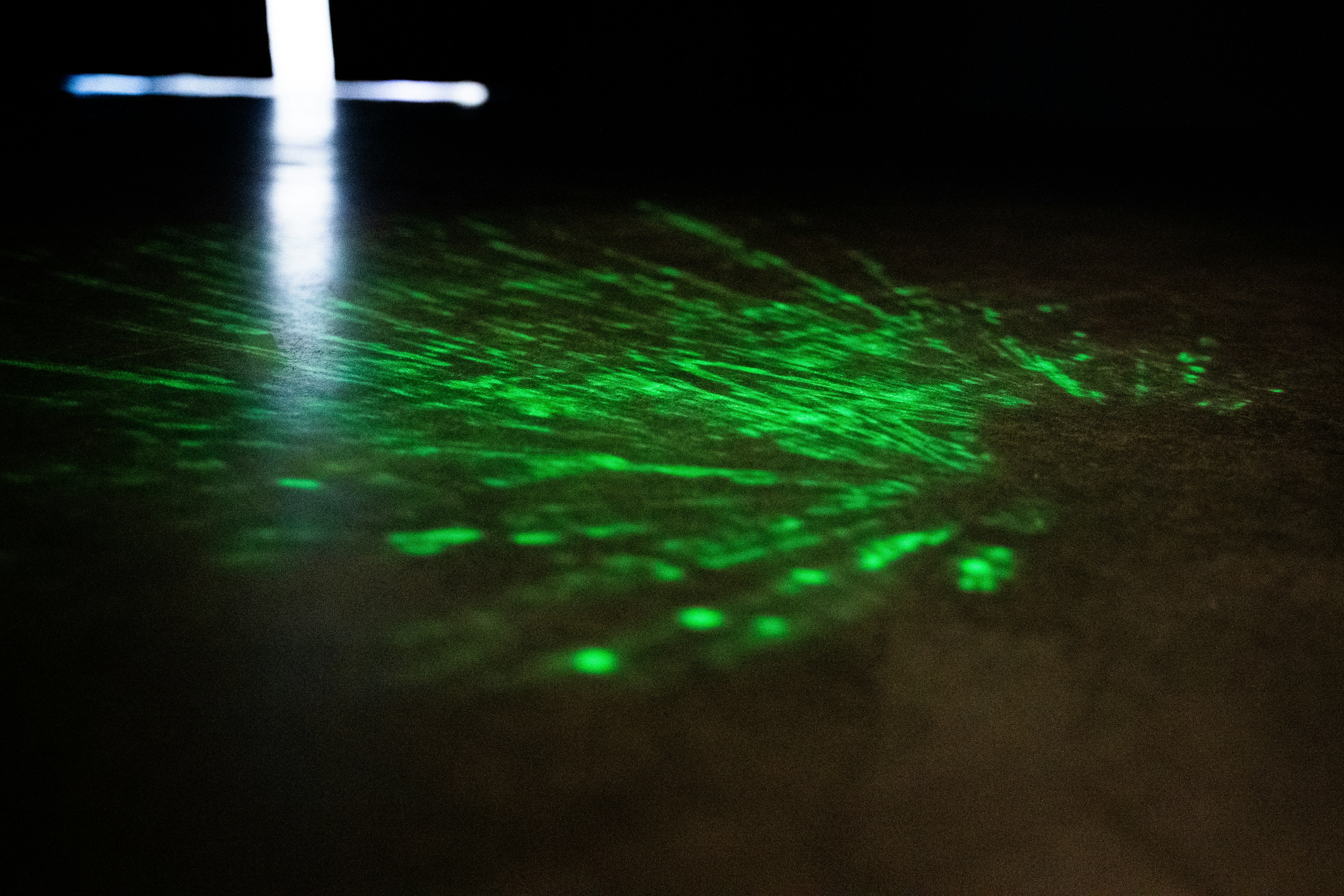 The Future of Quality Assurance: Integrating AI for Smarter Testing