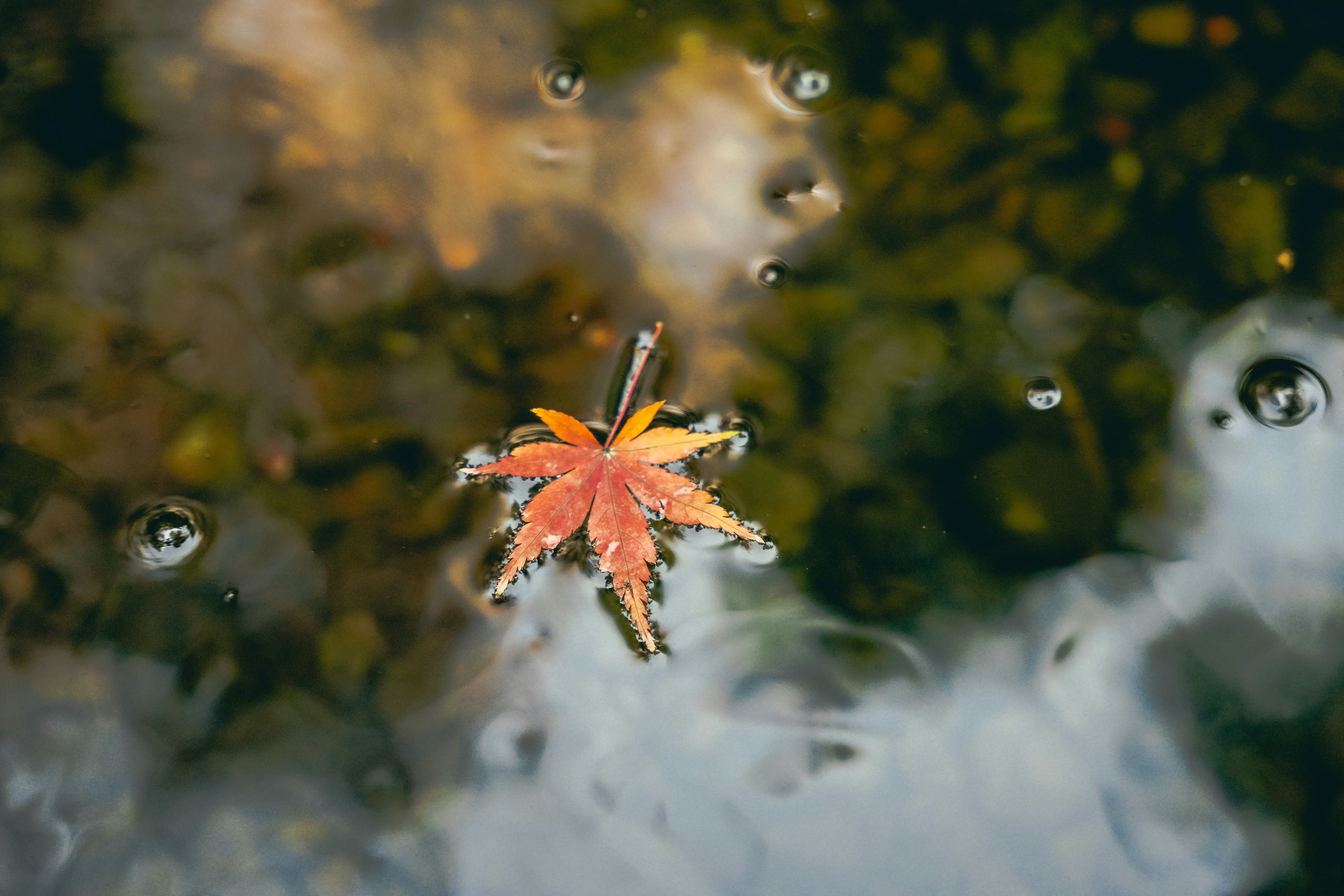 Photo by cosmonaut647