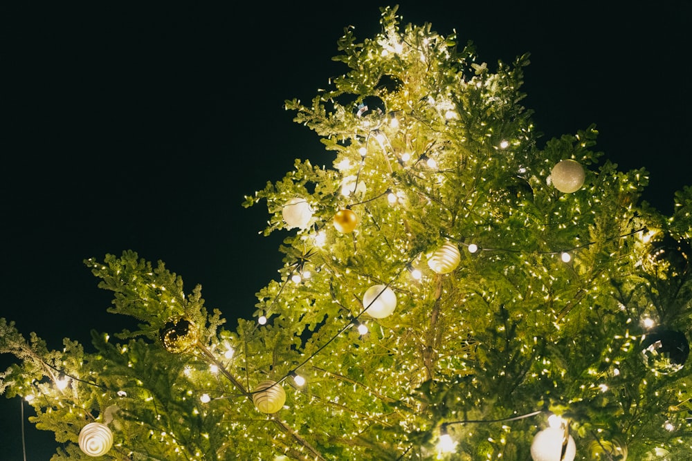 uma árvore com muitas luzes sobre ela