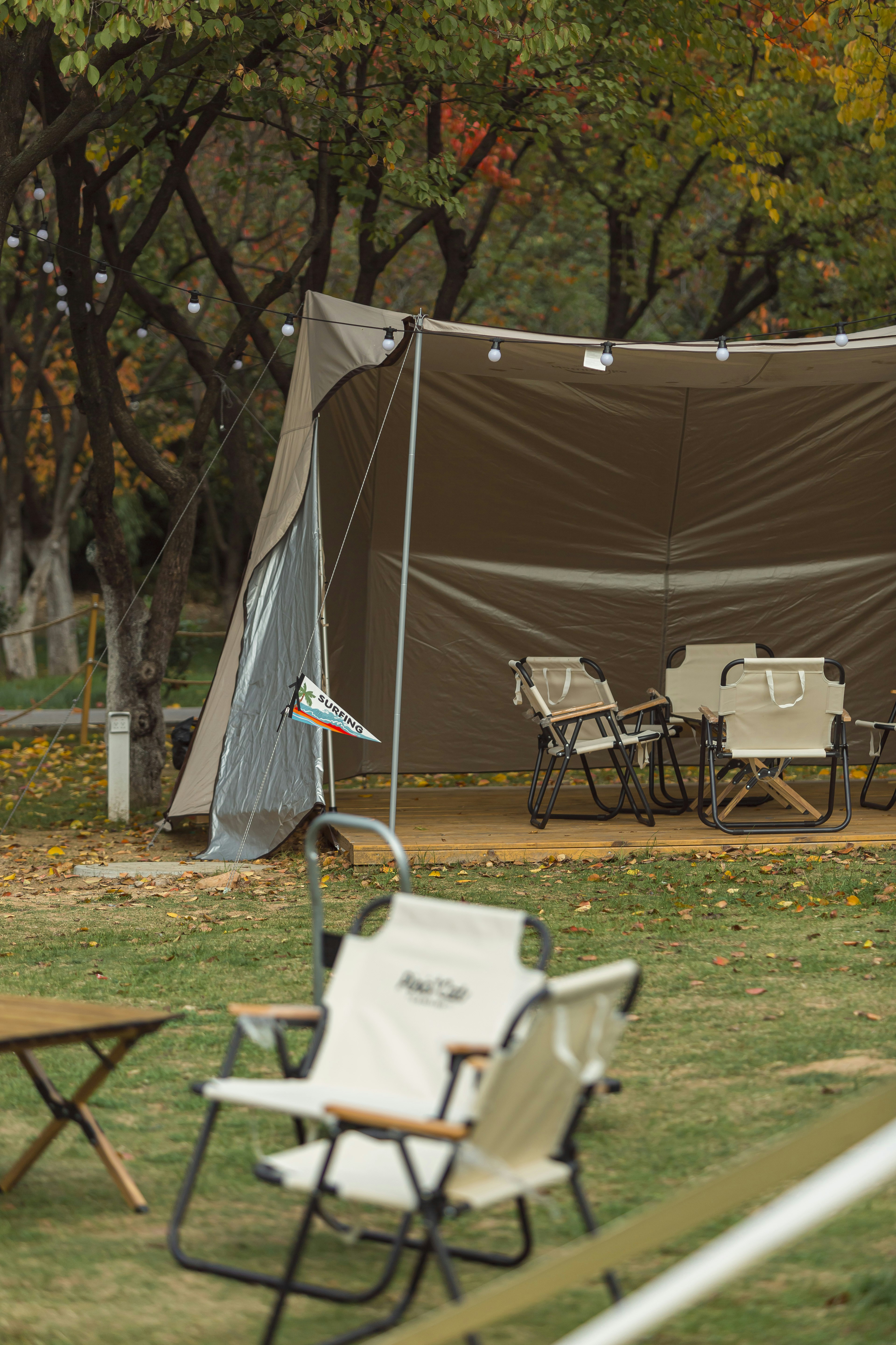 Essential Camping Gear